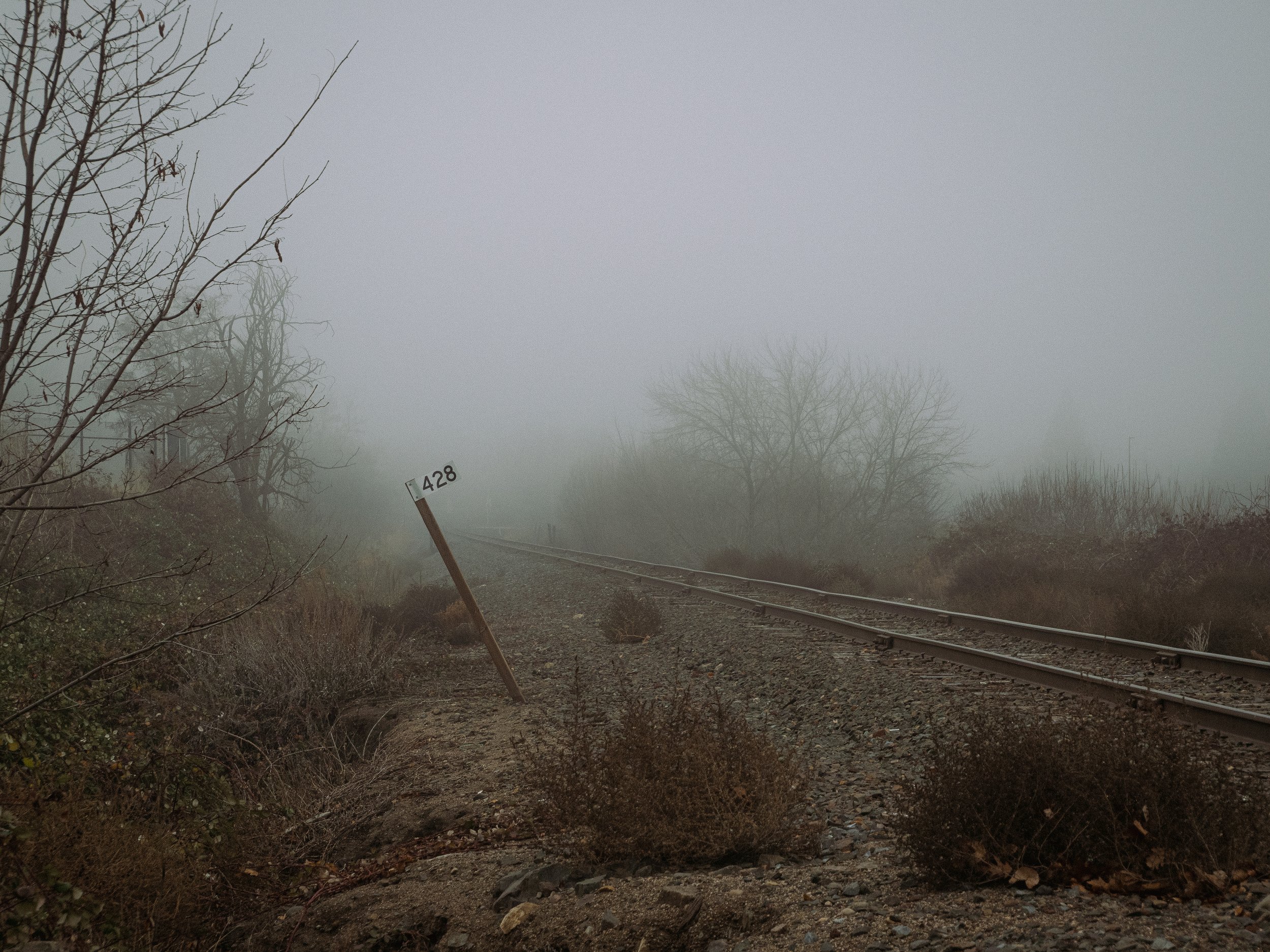 _1102942.jpg