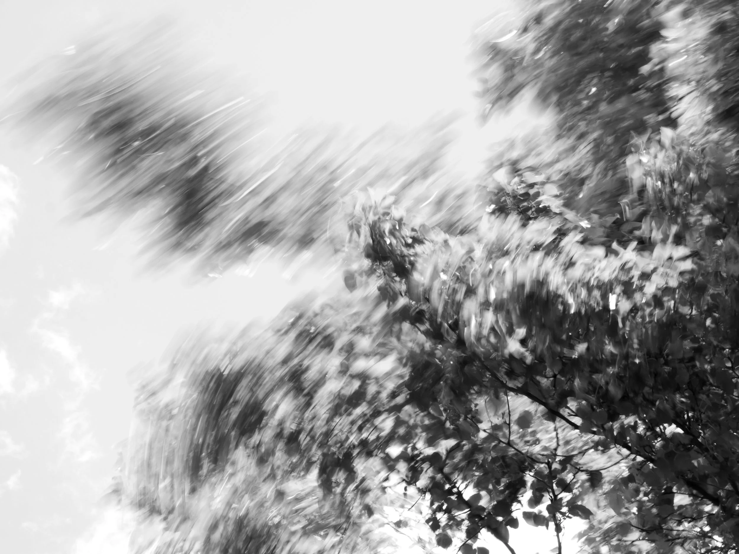 _1148452.jpg