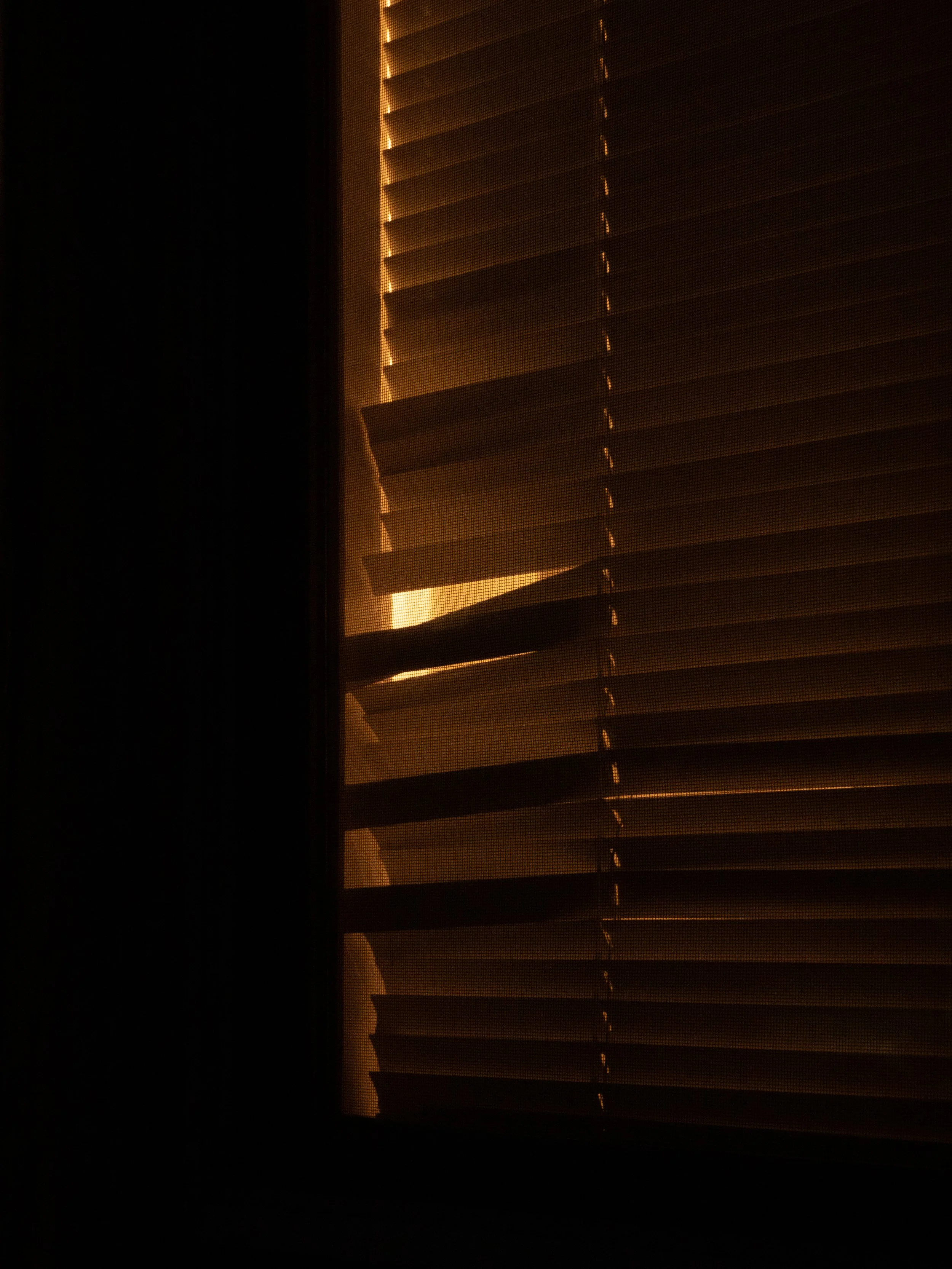 _1148660.jpg