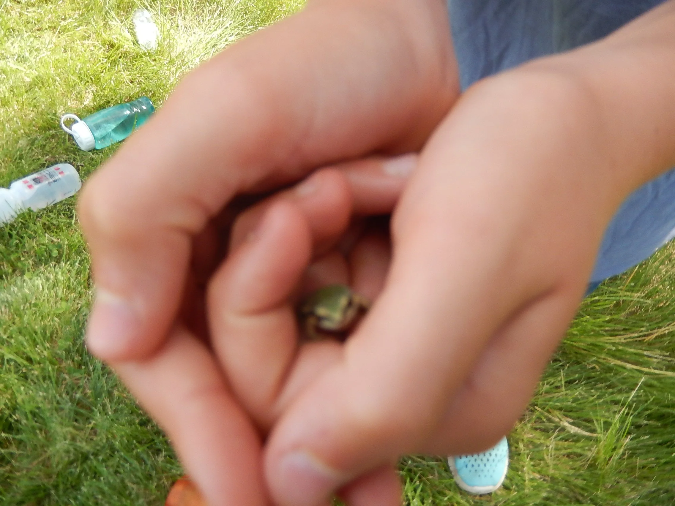 DSCN0830.jpg