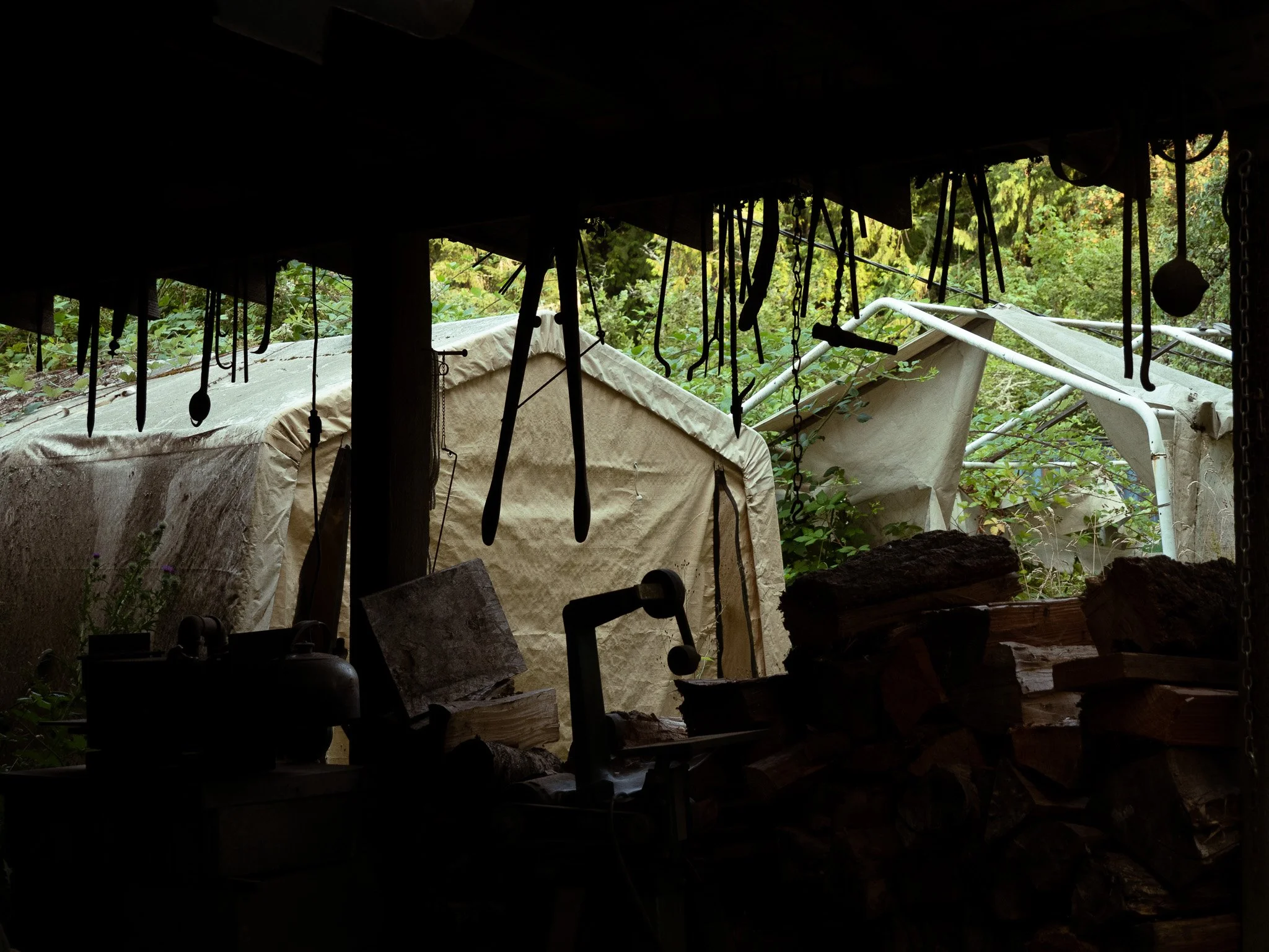 P1089746.jpg