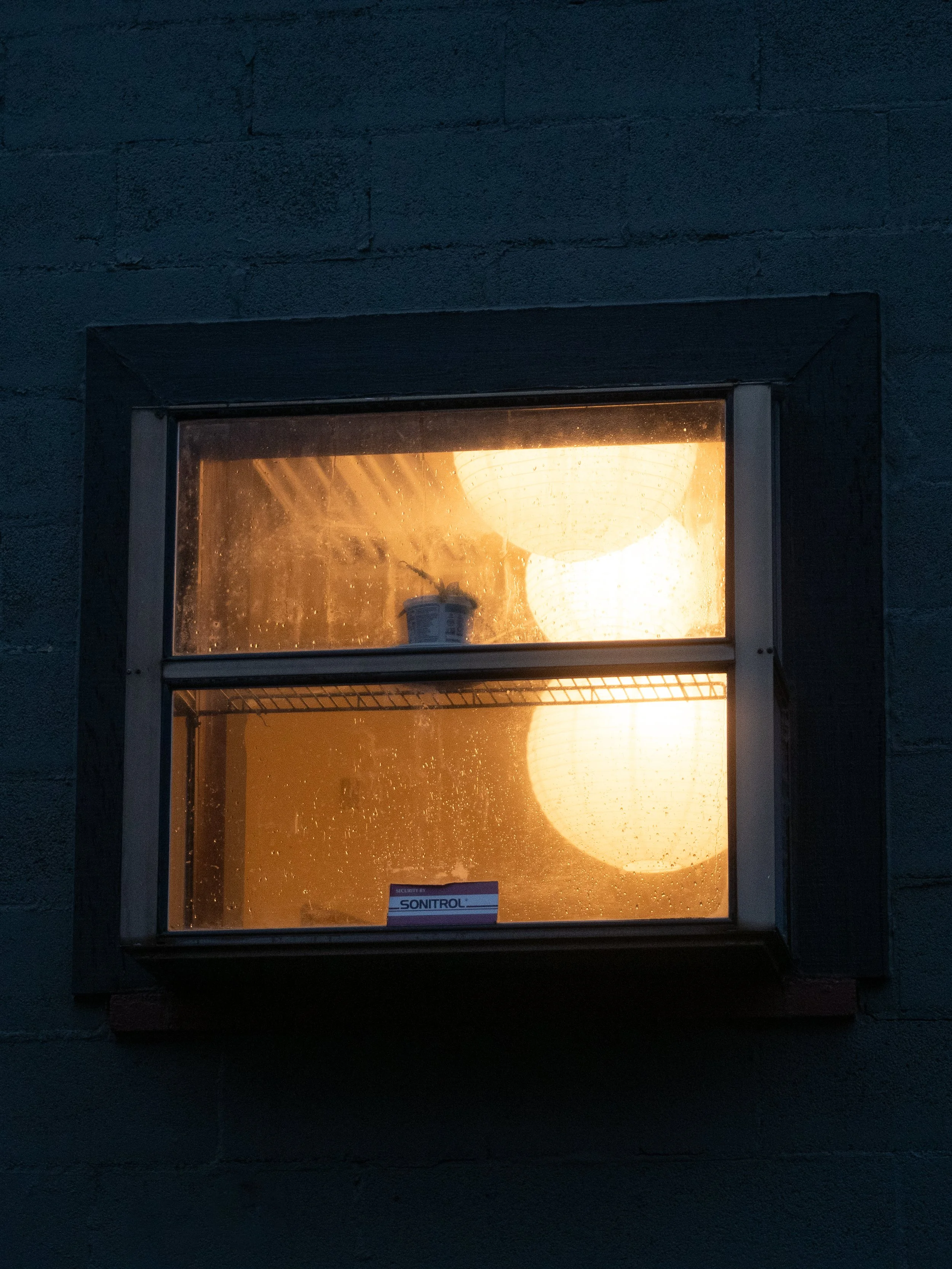 _1102860.jpg
