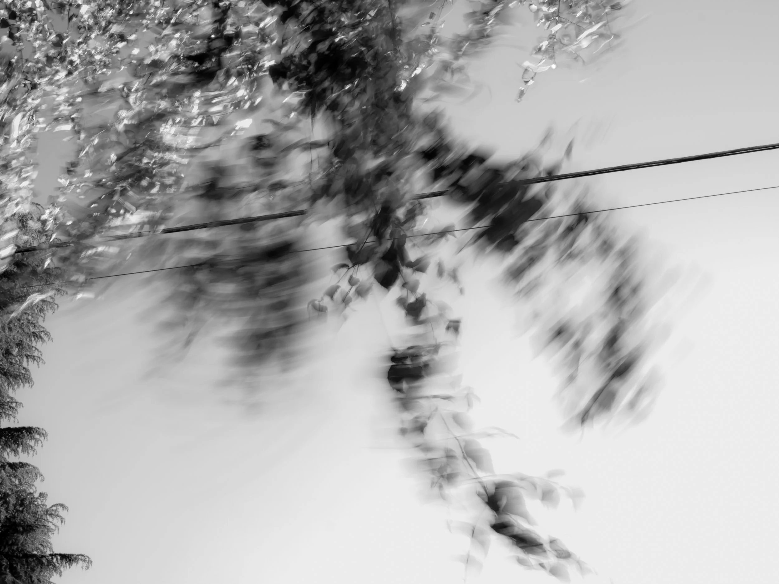 _1149384.jpg