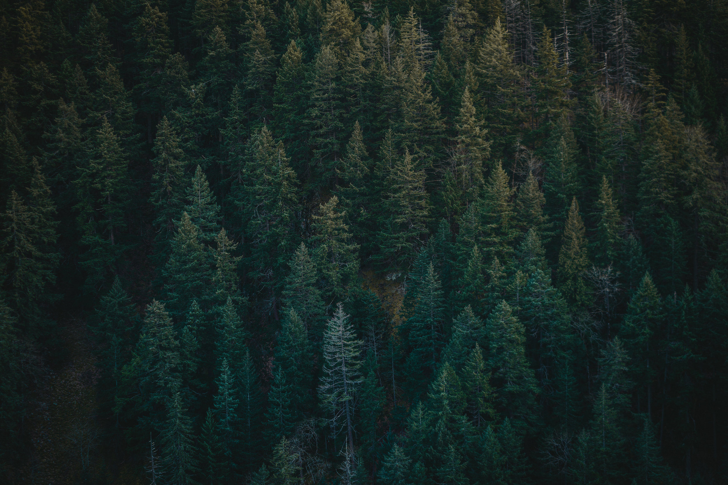 falls-7.jpg