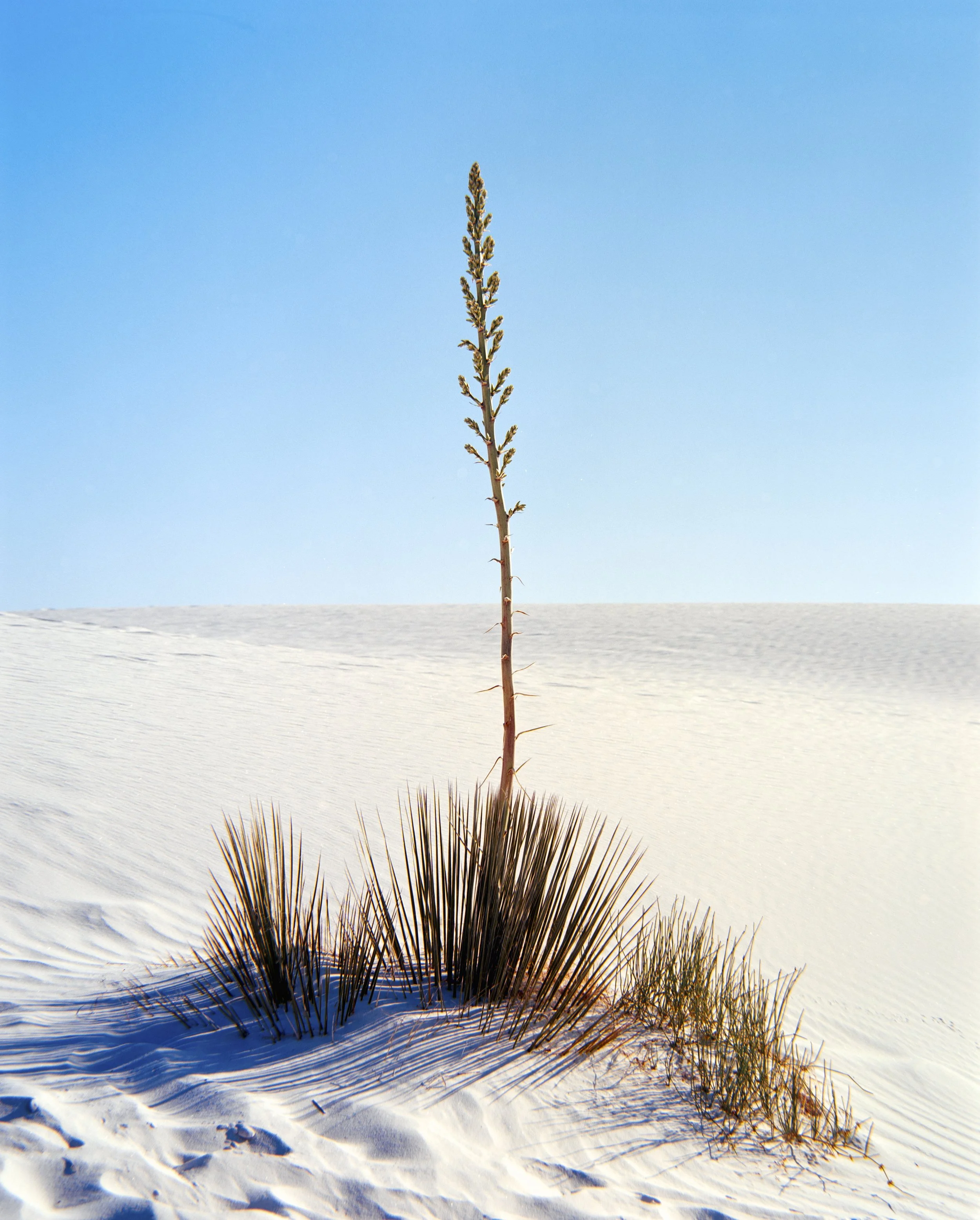 Road trip scans Medium format-361-positive.jpg