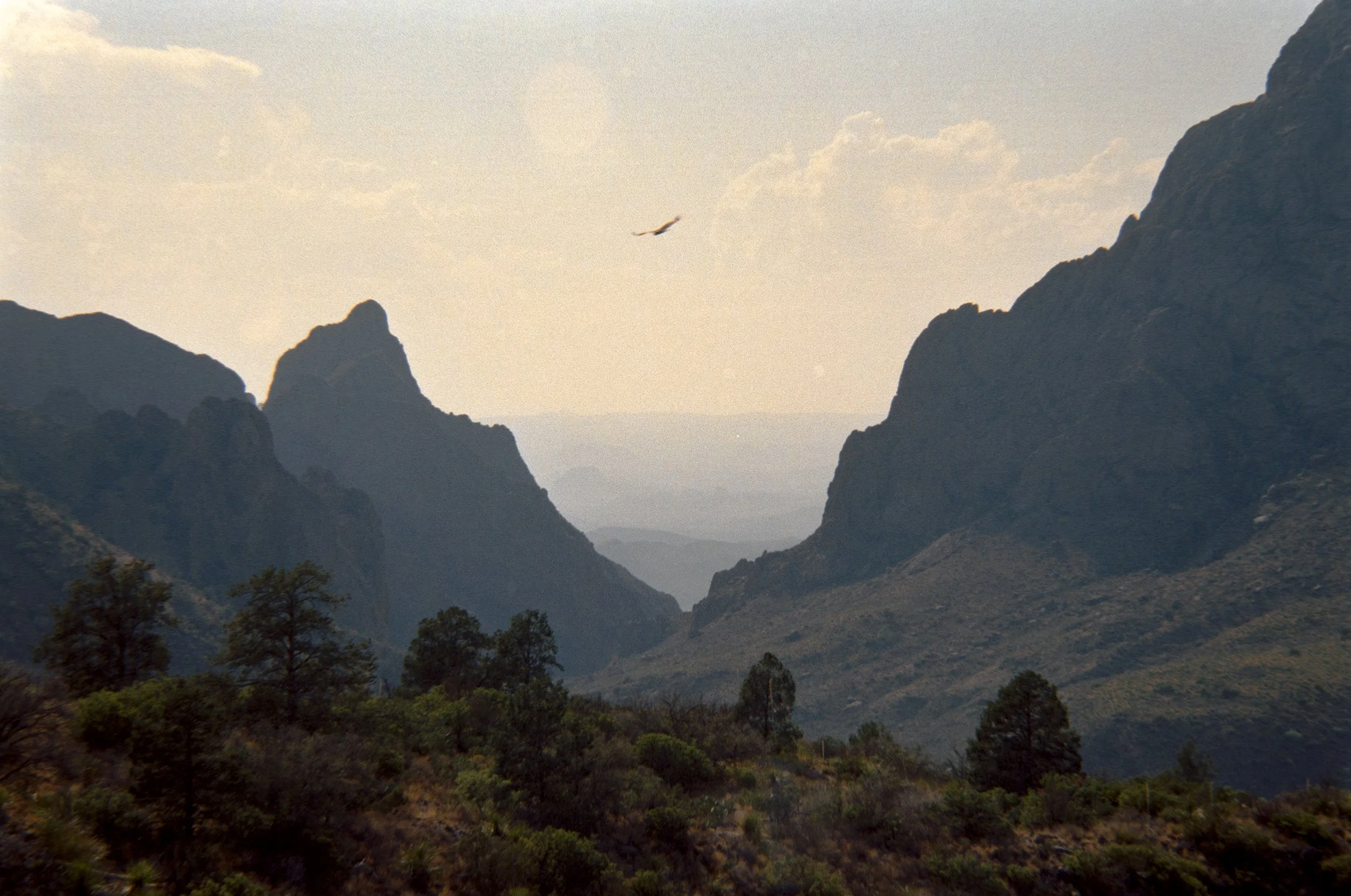 Road trip scans-048.jpg