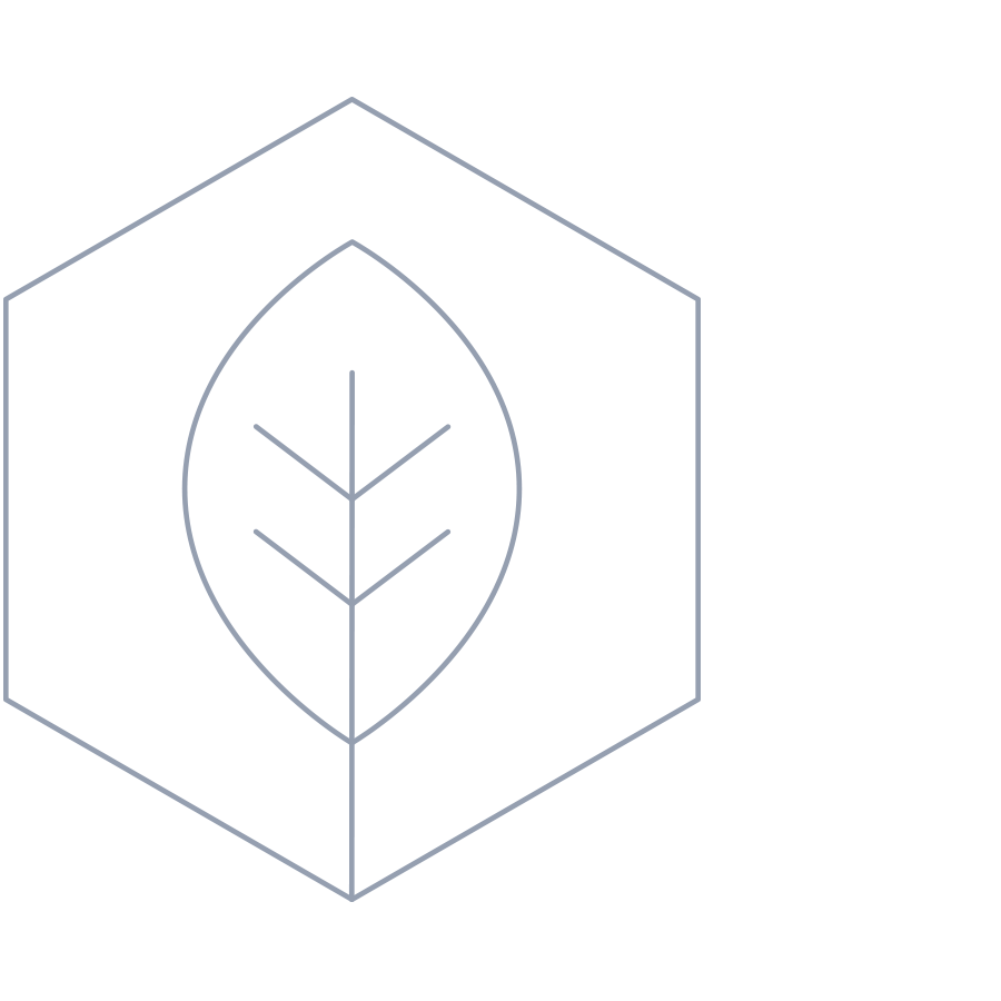 A geometric line drawing depicting a leaf inside a hexagon, with a black background.