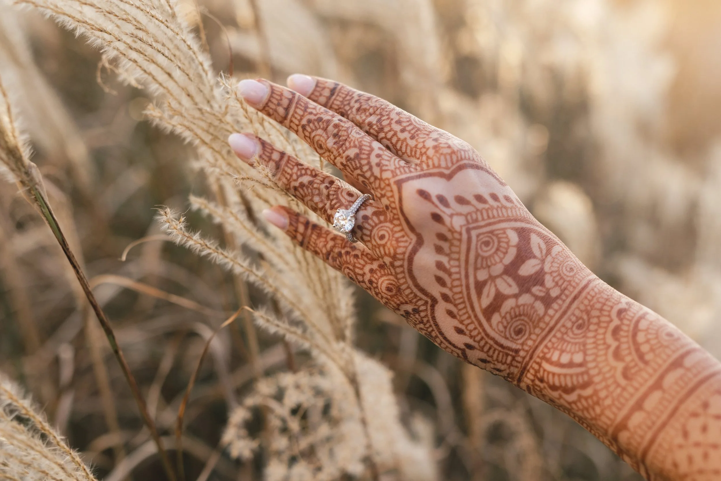 A hand with henna designs touching dried wheat stalks in a field during sunset.