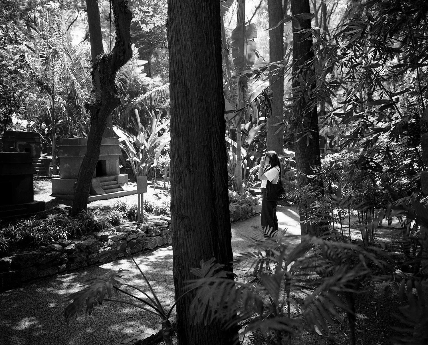 Caityingarden.jpg