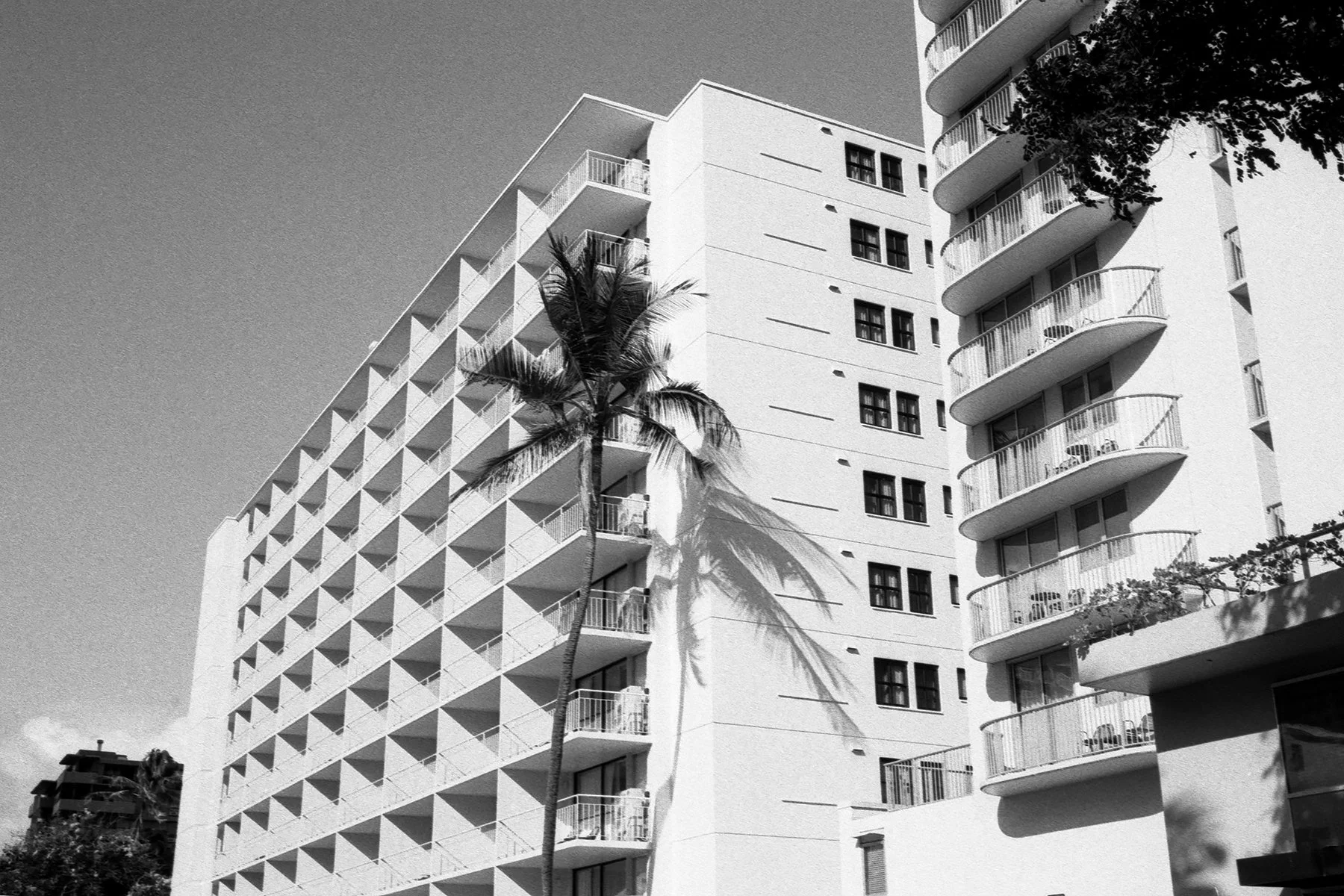 Palmhotel.jpg