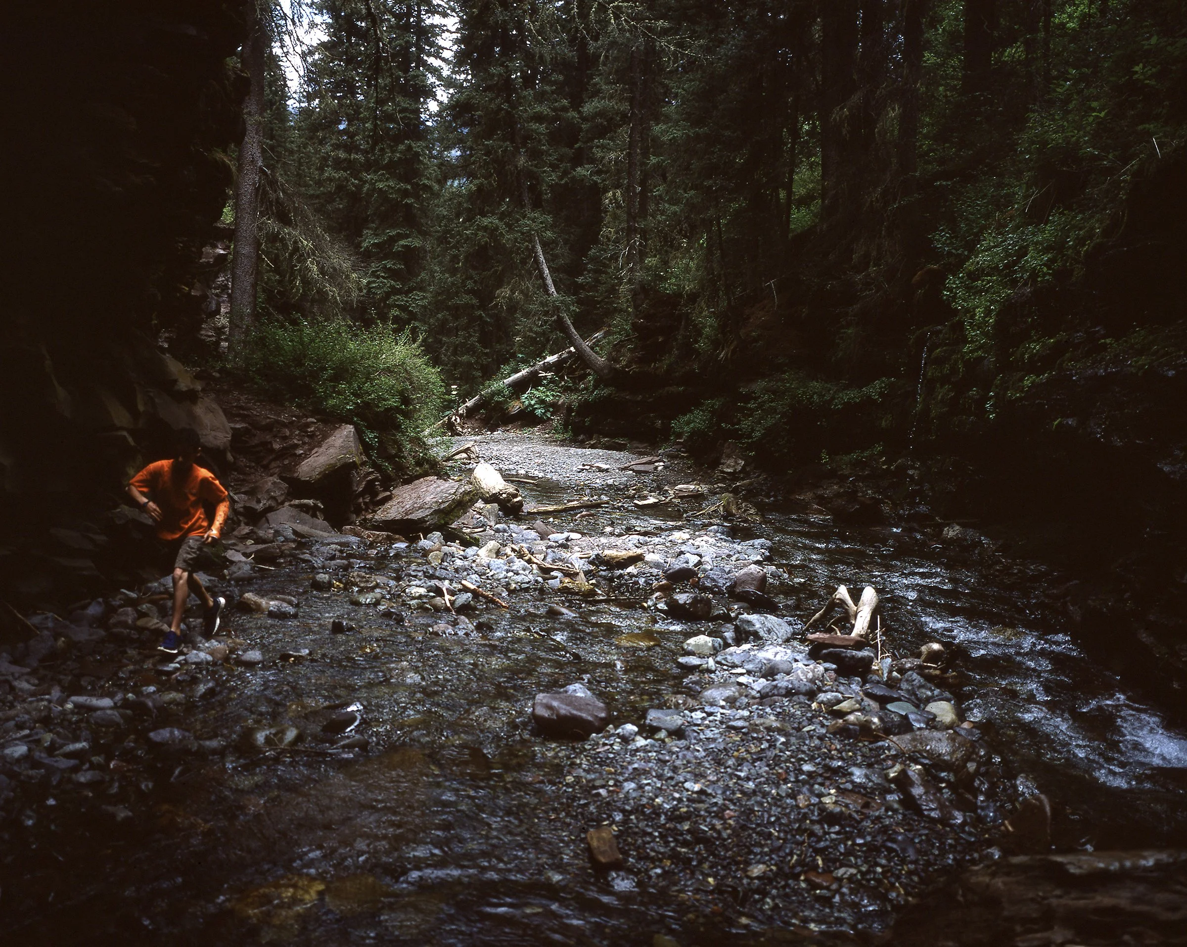 080_Roadtriplg_002.jpg