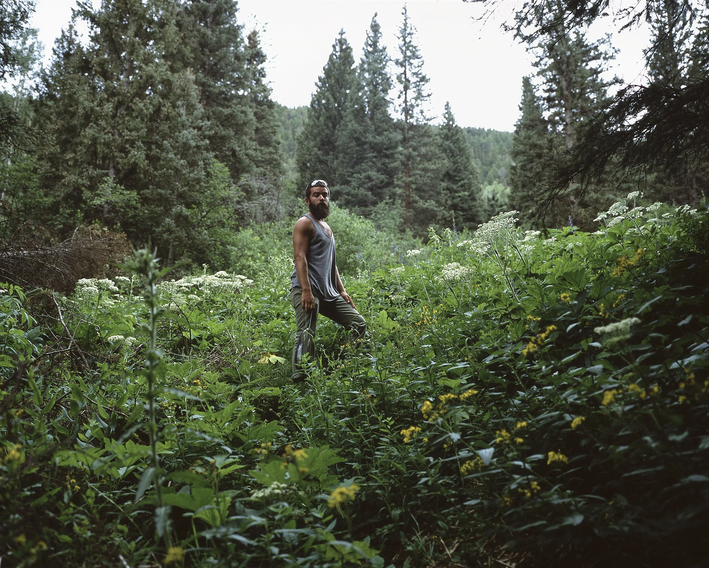 085_Roadtriplg_045.jpg