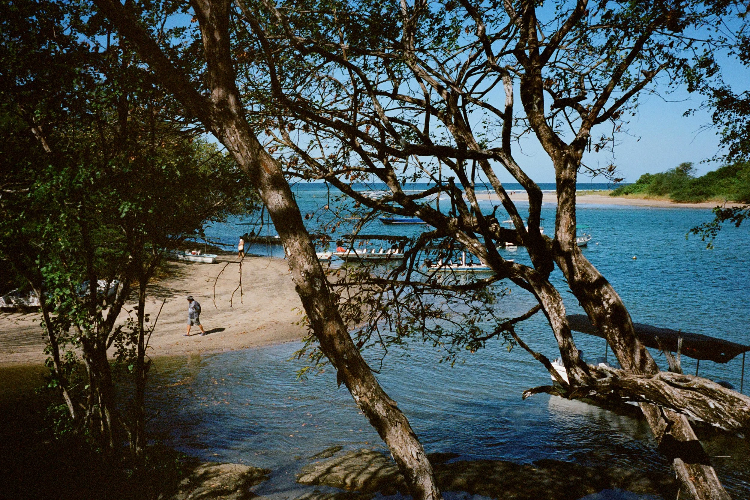 Walkingbyboats.jpg