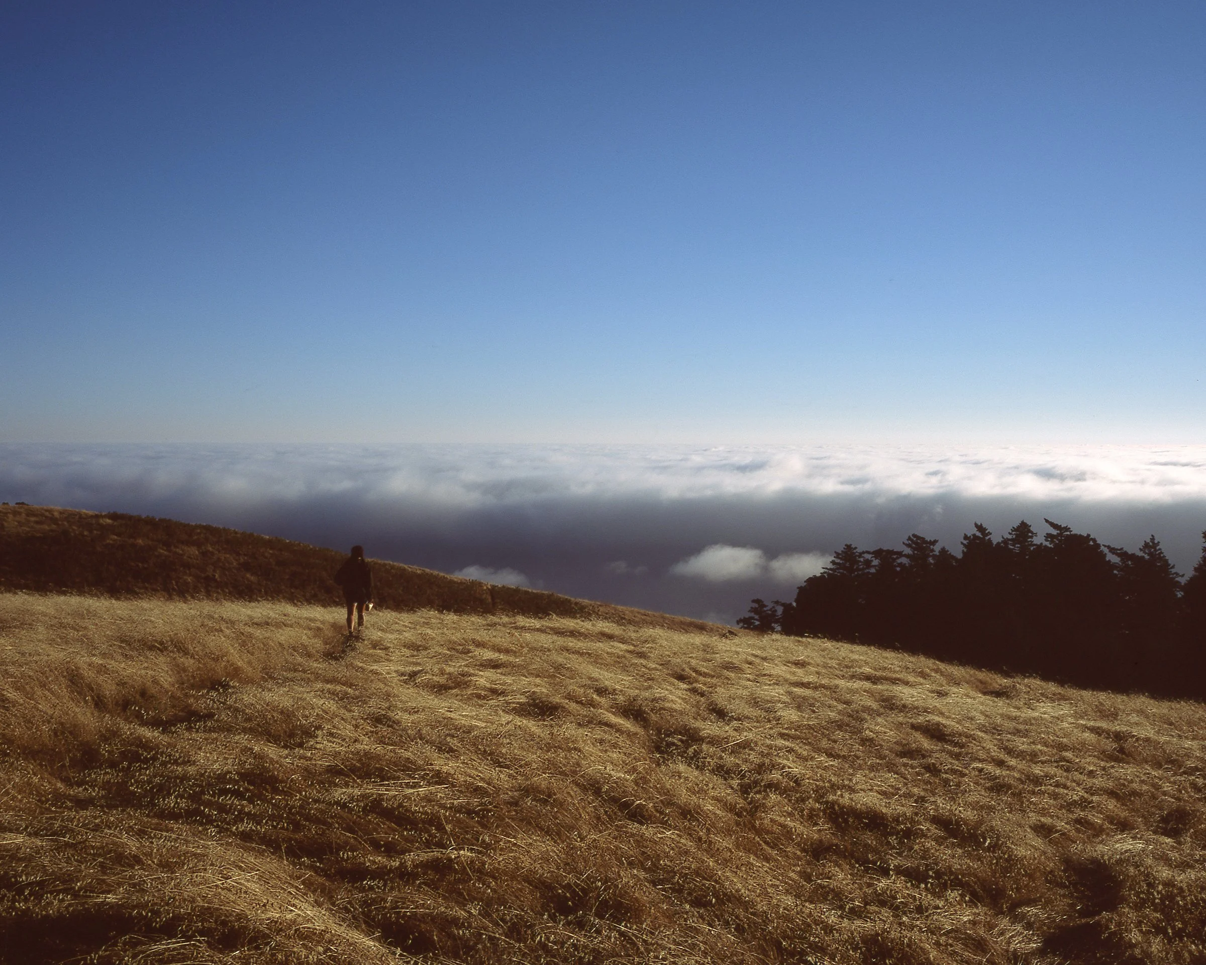 112_Roadtriplg_054.jpg
