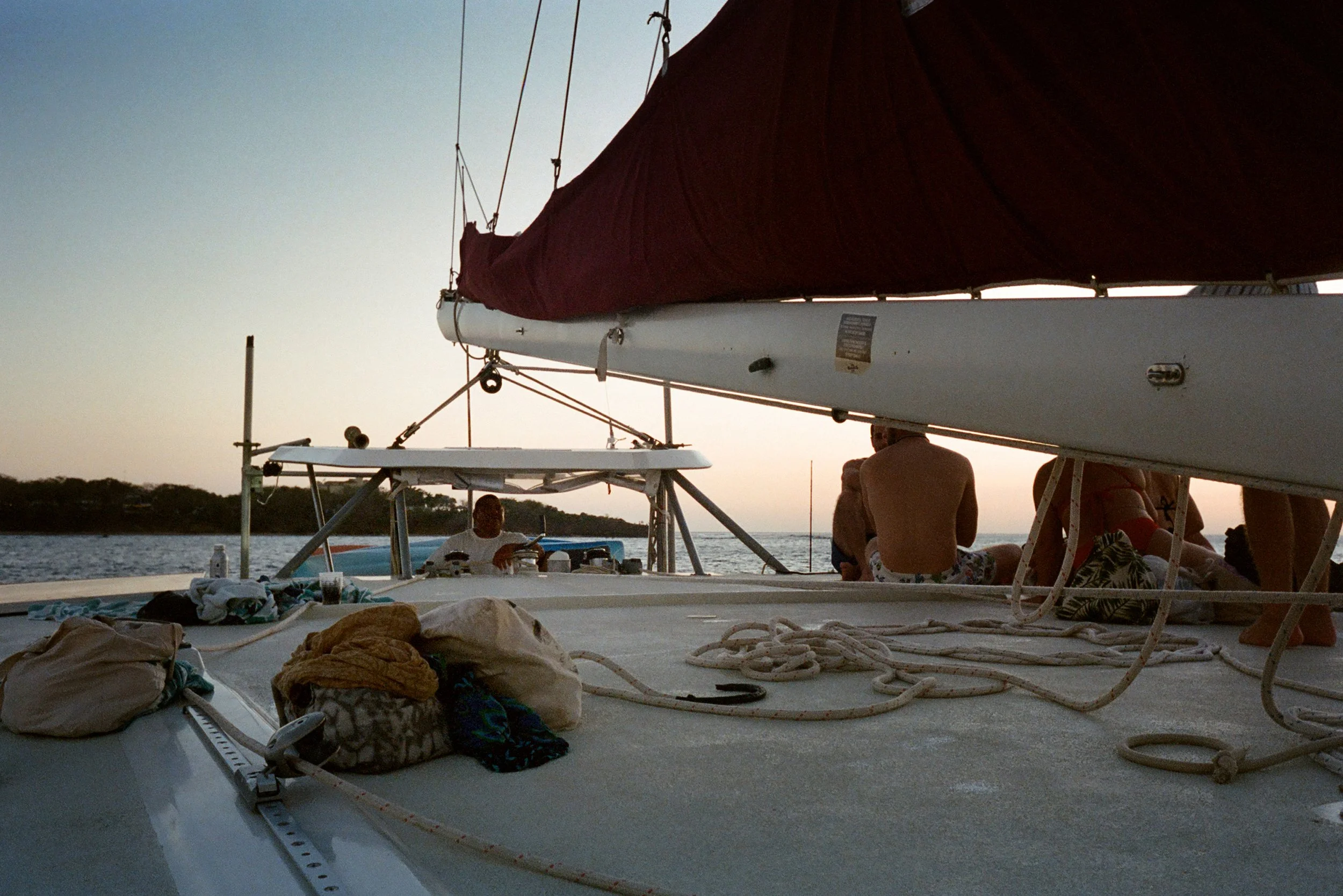 Skipper.jpg