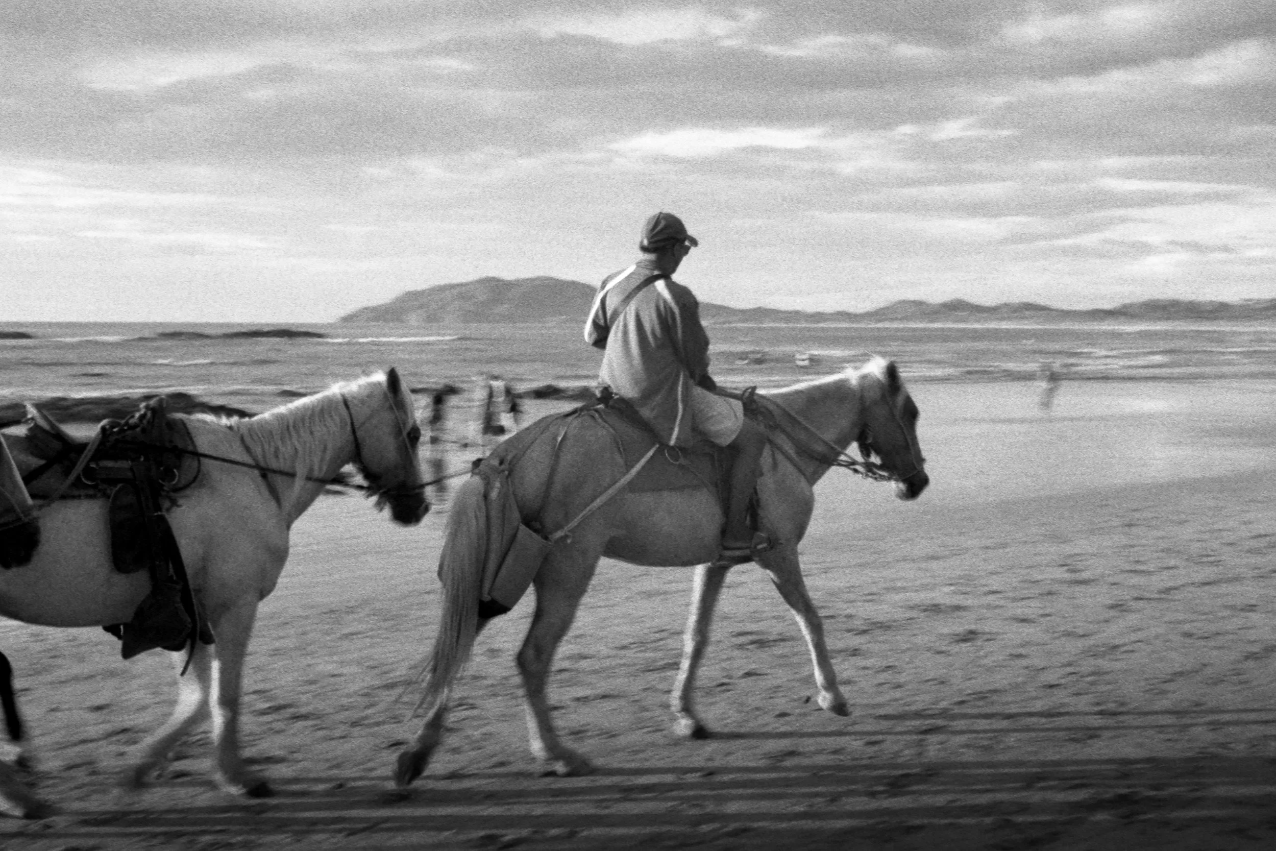 Manwithtwohorses.jpg