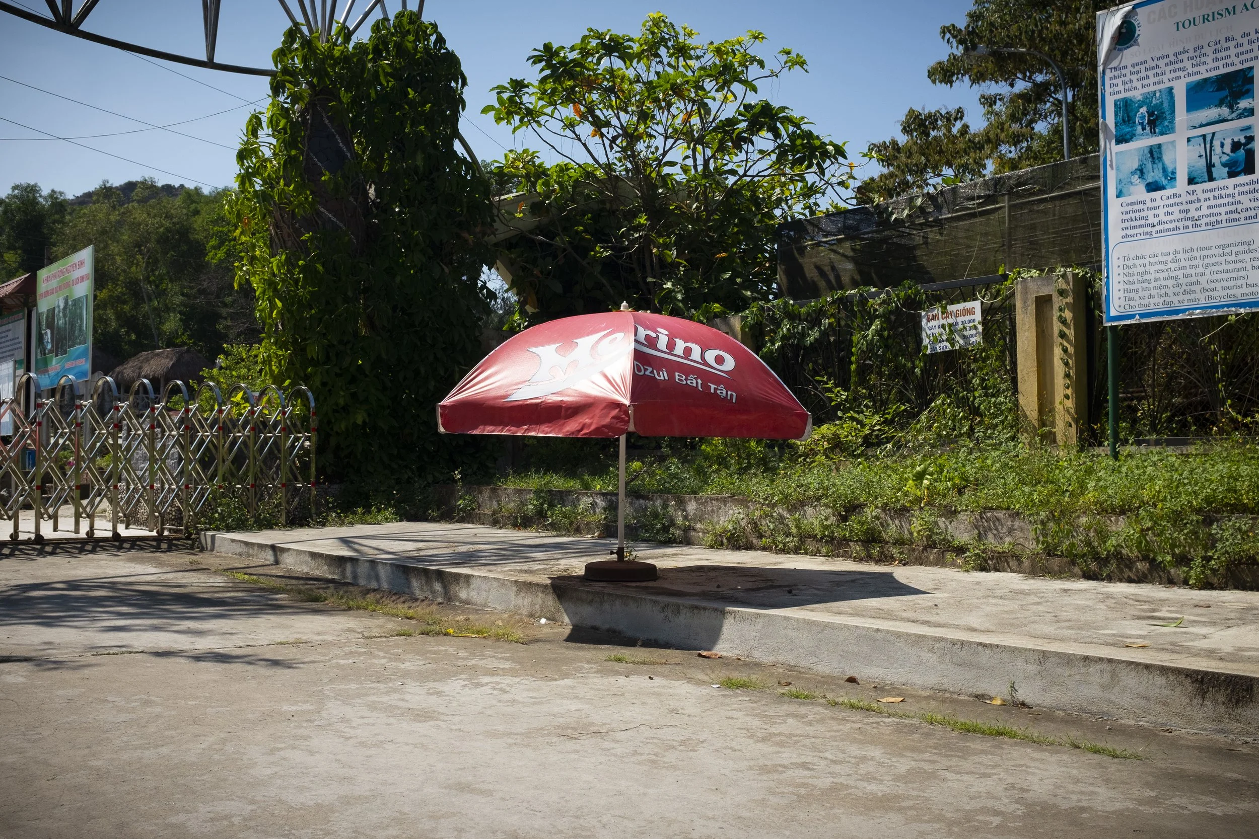 24_Umbrellonsidewalk.jpg