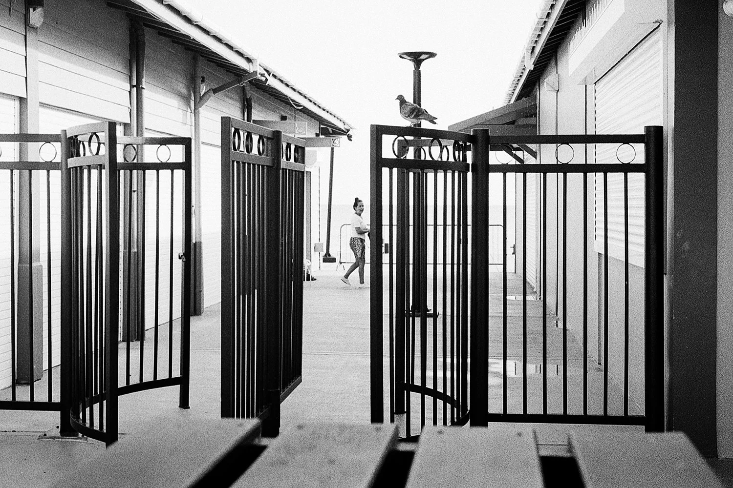 Gates.jpg