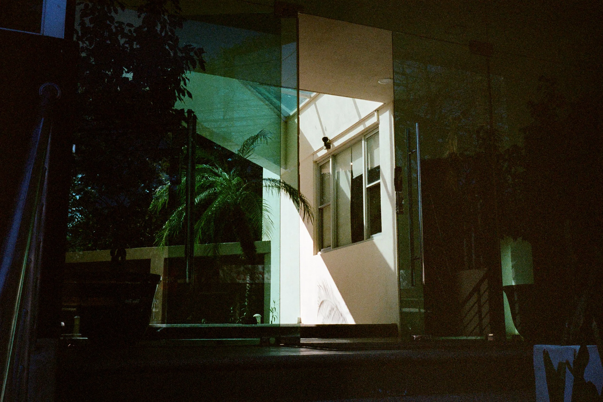 Palmtreedoorway.jpg