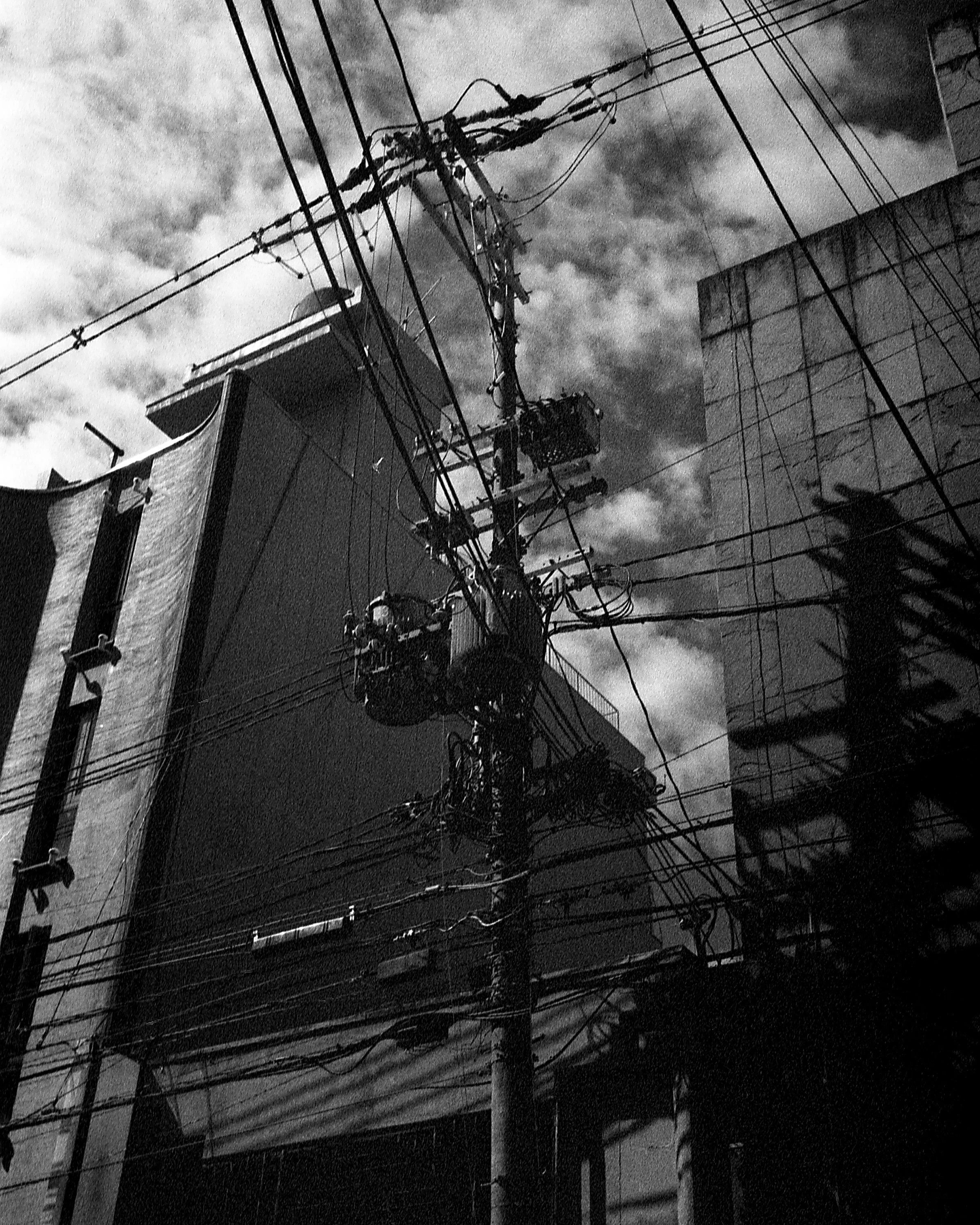 Powerlines.jpg
