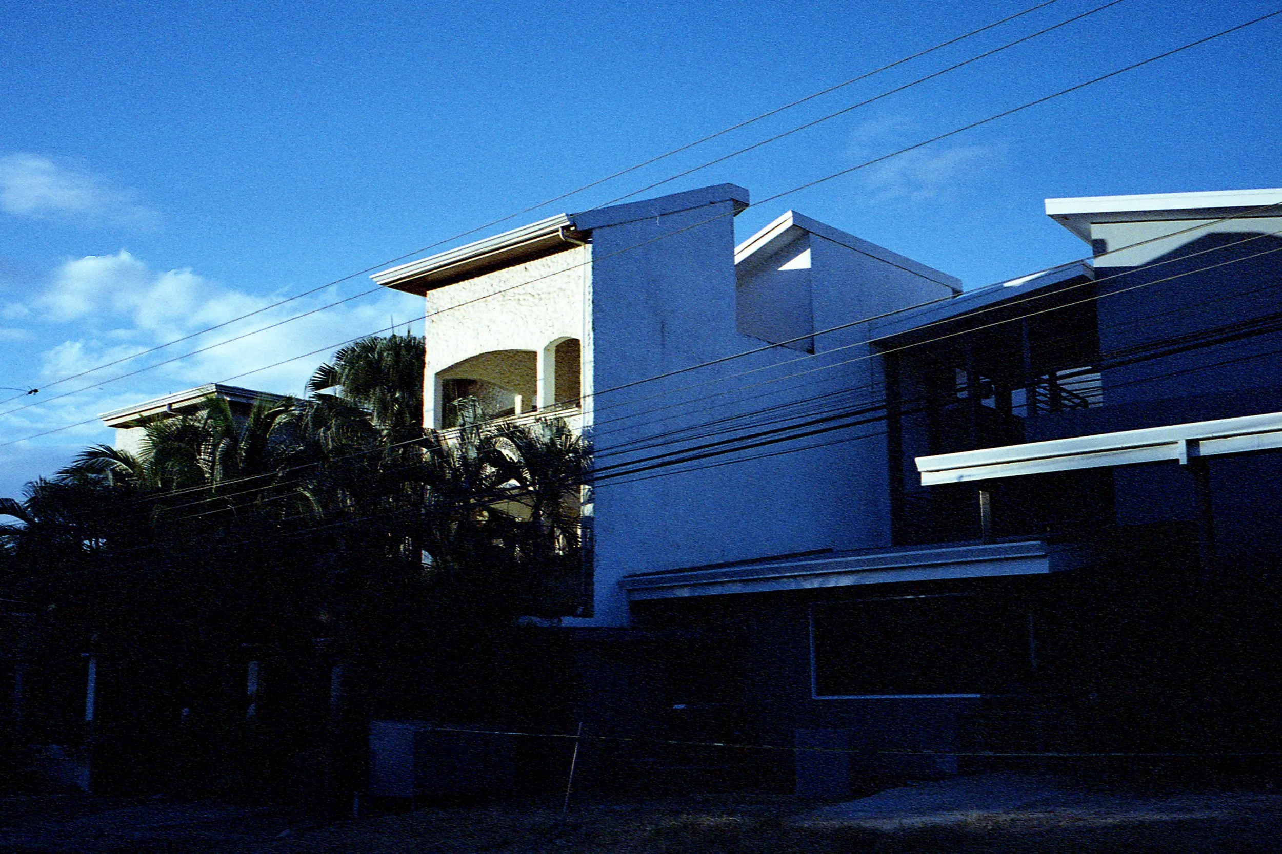 Housewithpalms.jpg