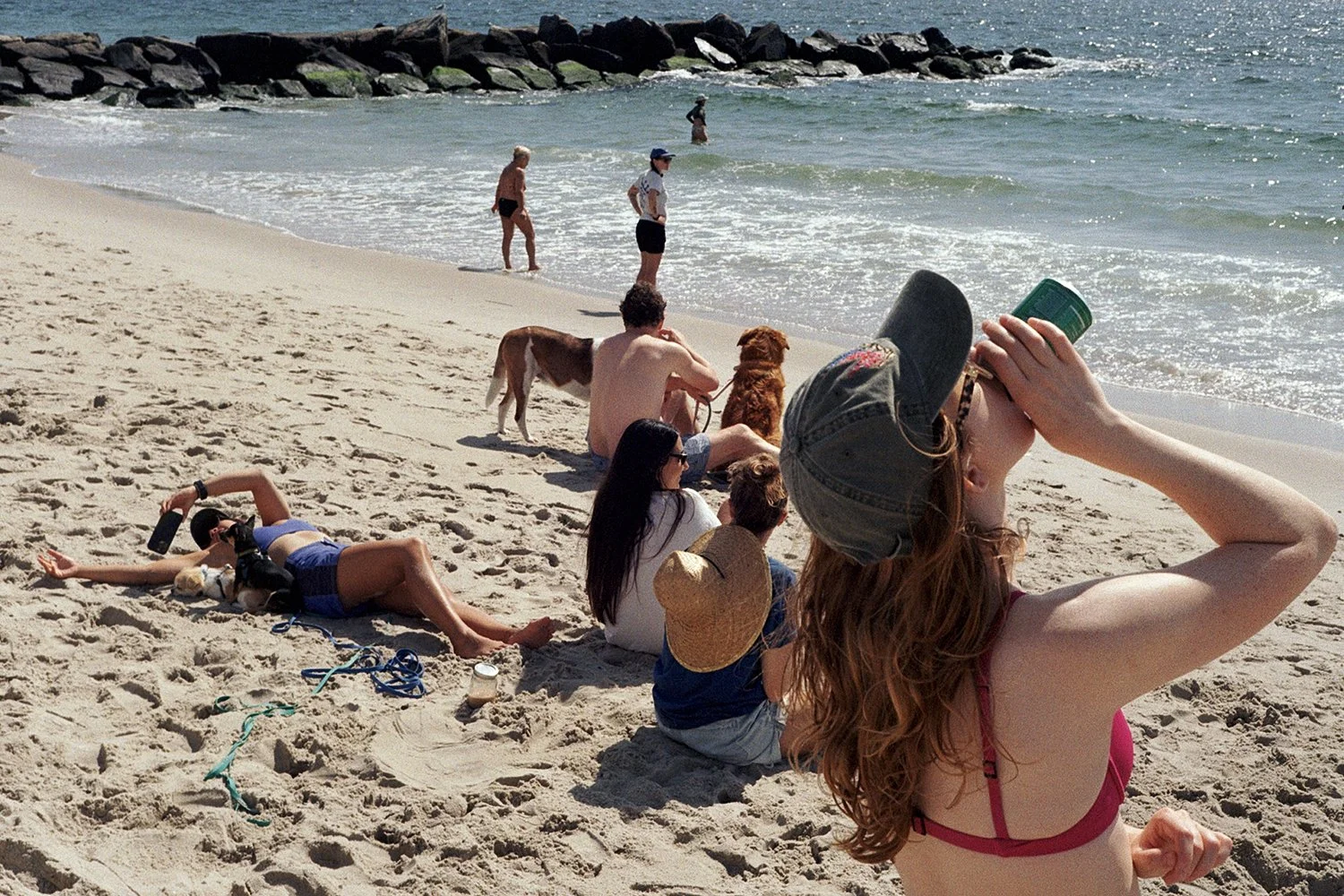Dogsandpeople2.jpg