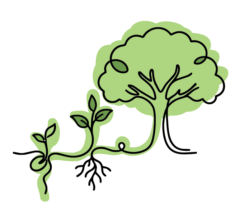 A drawing of a plant growing into a tree, symbolizing growth and development.