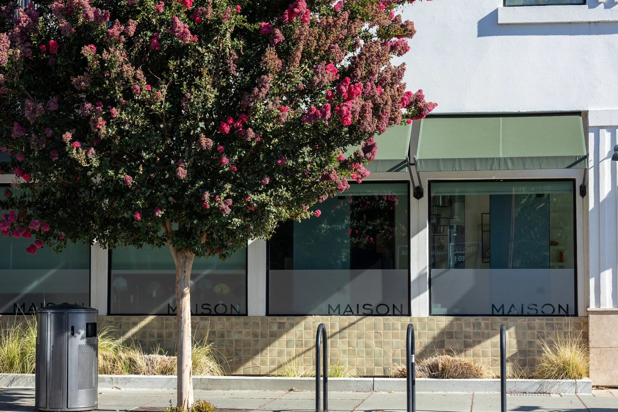 A storefront with large windows and white walls, partially obscured by a flowering tree with pink blooms. There is a green awning above the entrance, and a trash can and bike rack are visible in front.