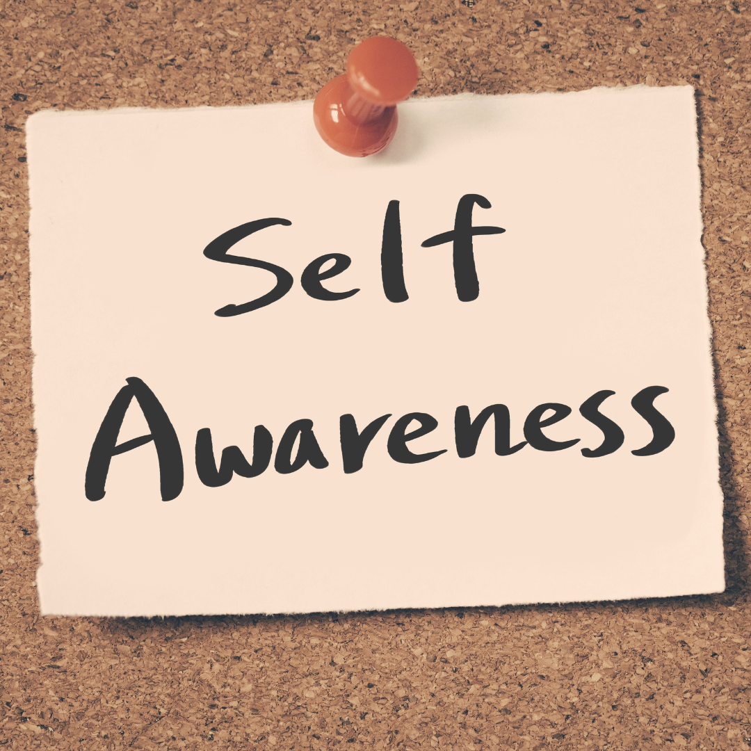 Why Self-Awareness Isn't Enough: Emotional Regulation as a Leadership Performance Skill 