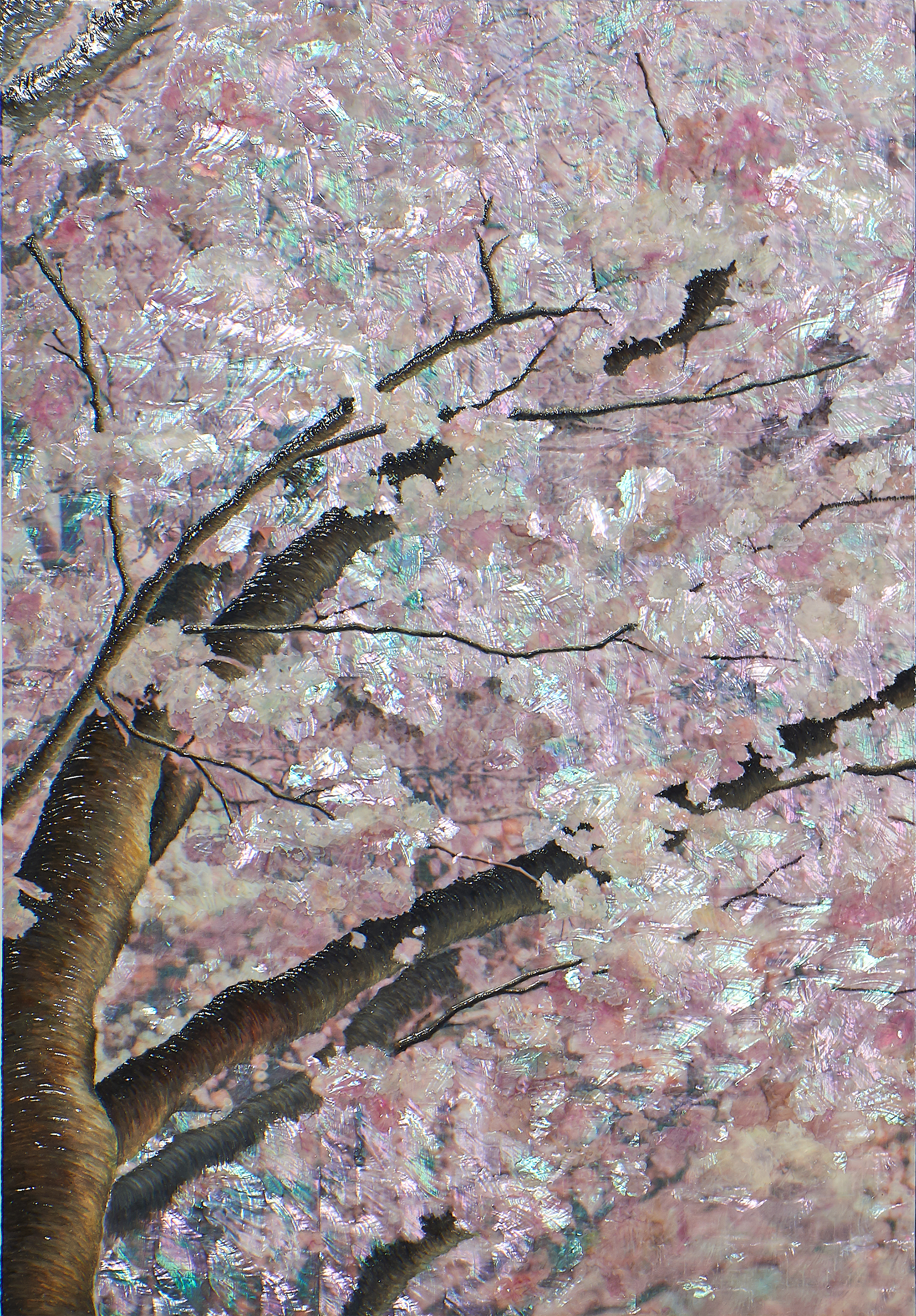 Your Spring