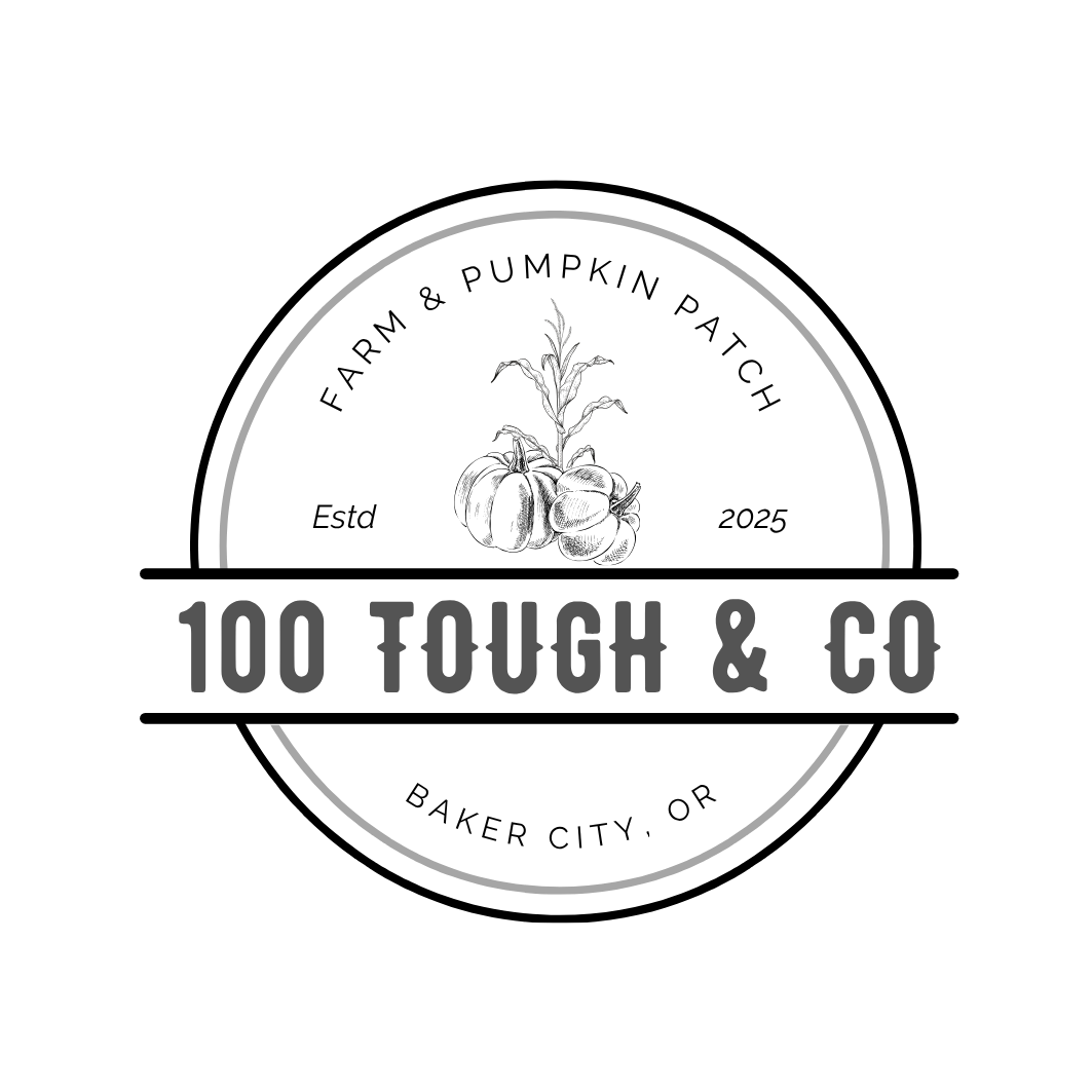 100 Tough &amp; Co Pumpkin Patch