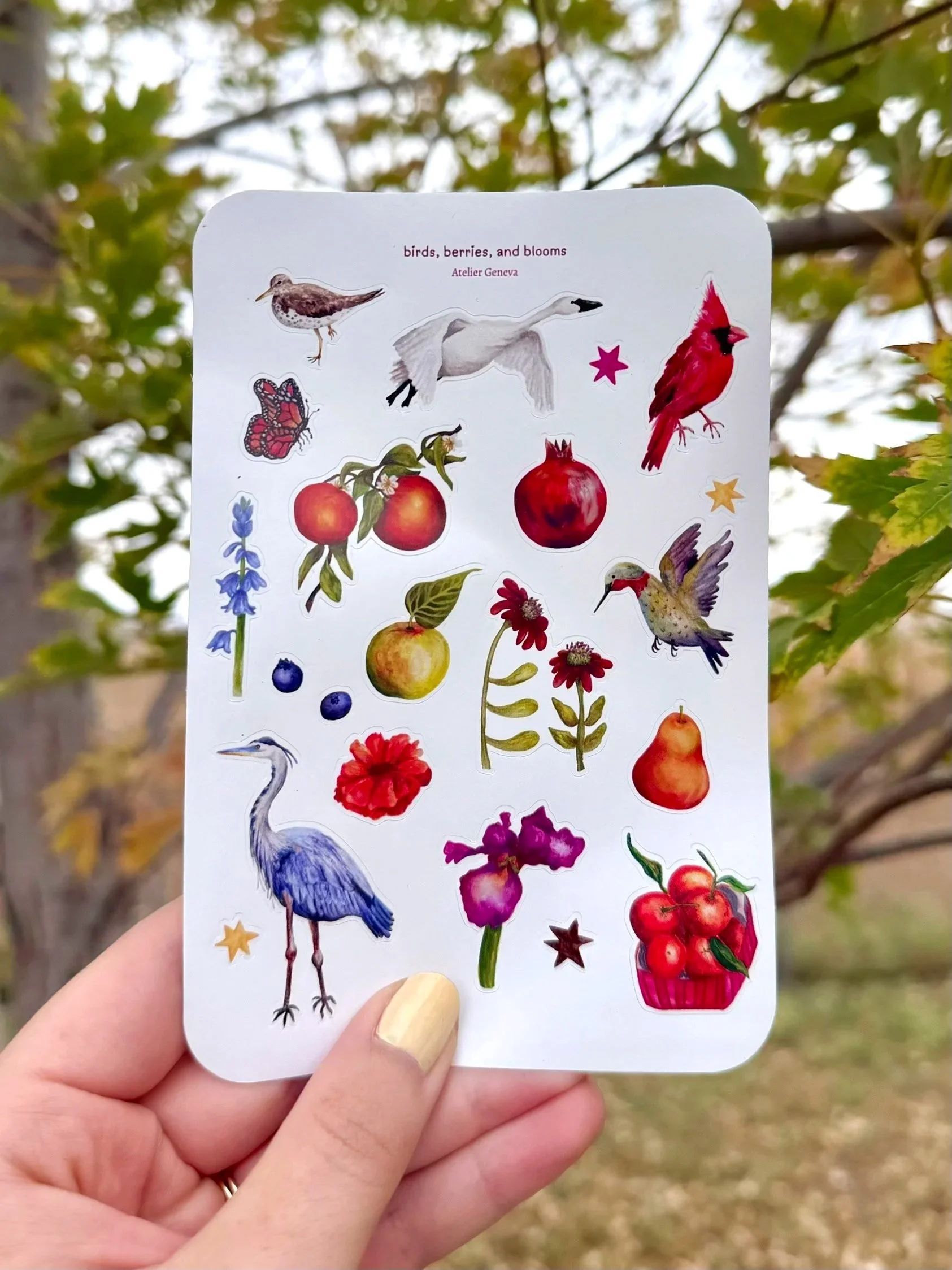 sticker+sheet.jpg