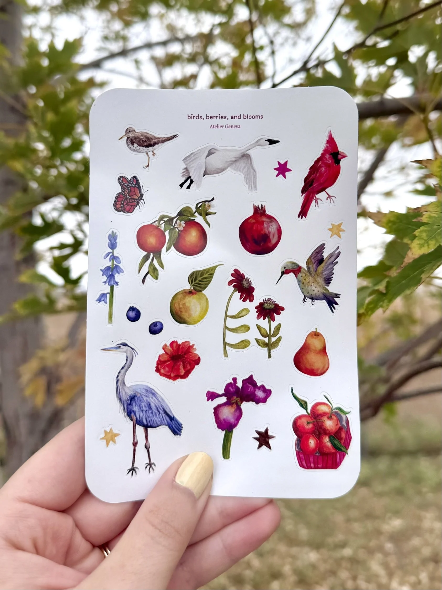 Birds, Berries, and Blooms Sticker Sheet