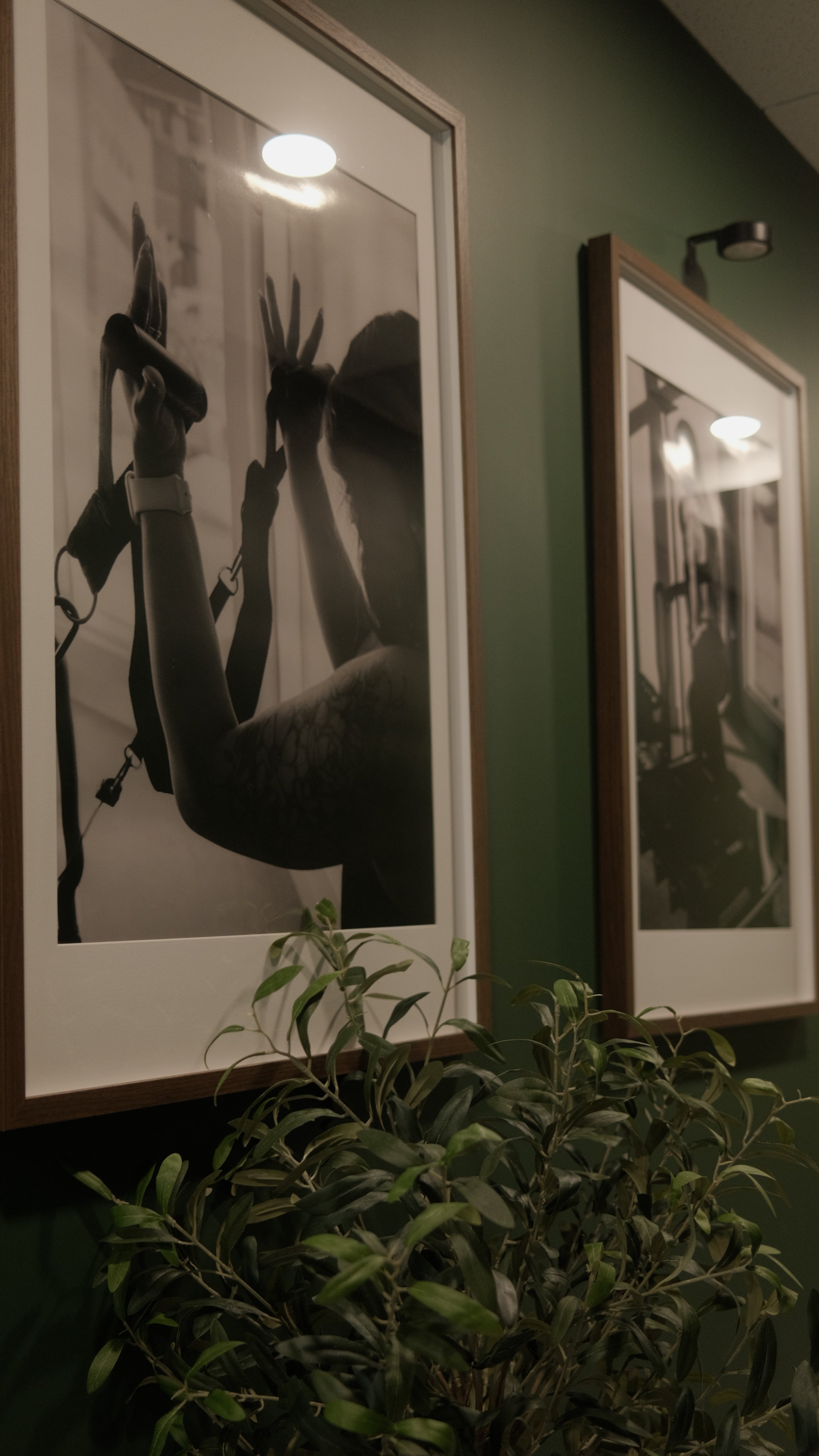 DSCF5591.jpg