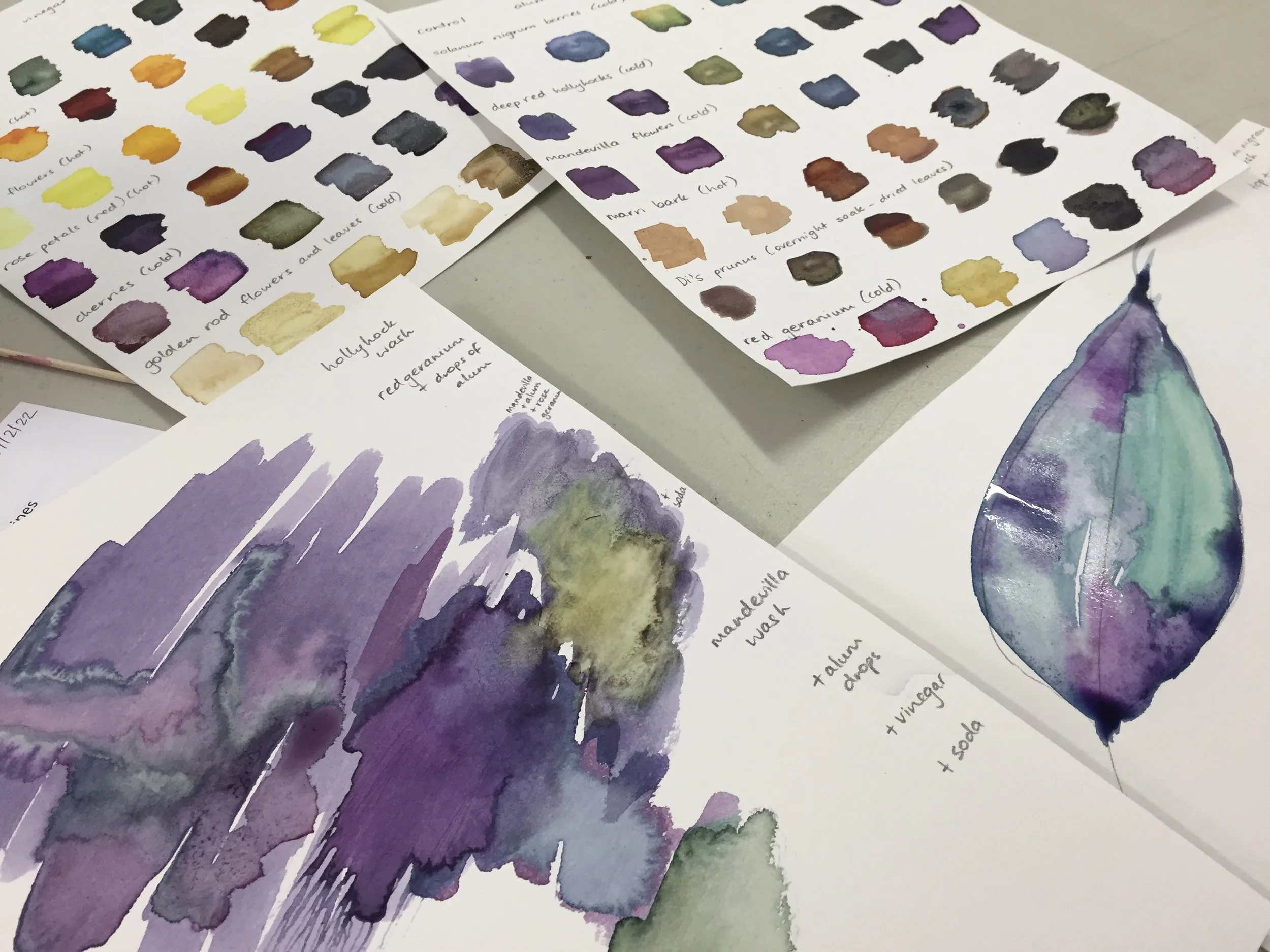 Introduction to Botanical Inks