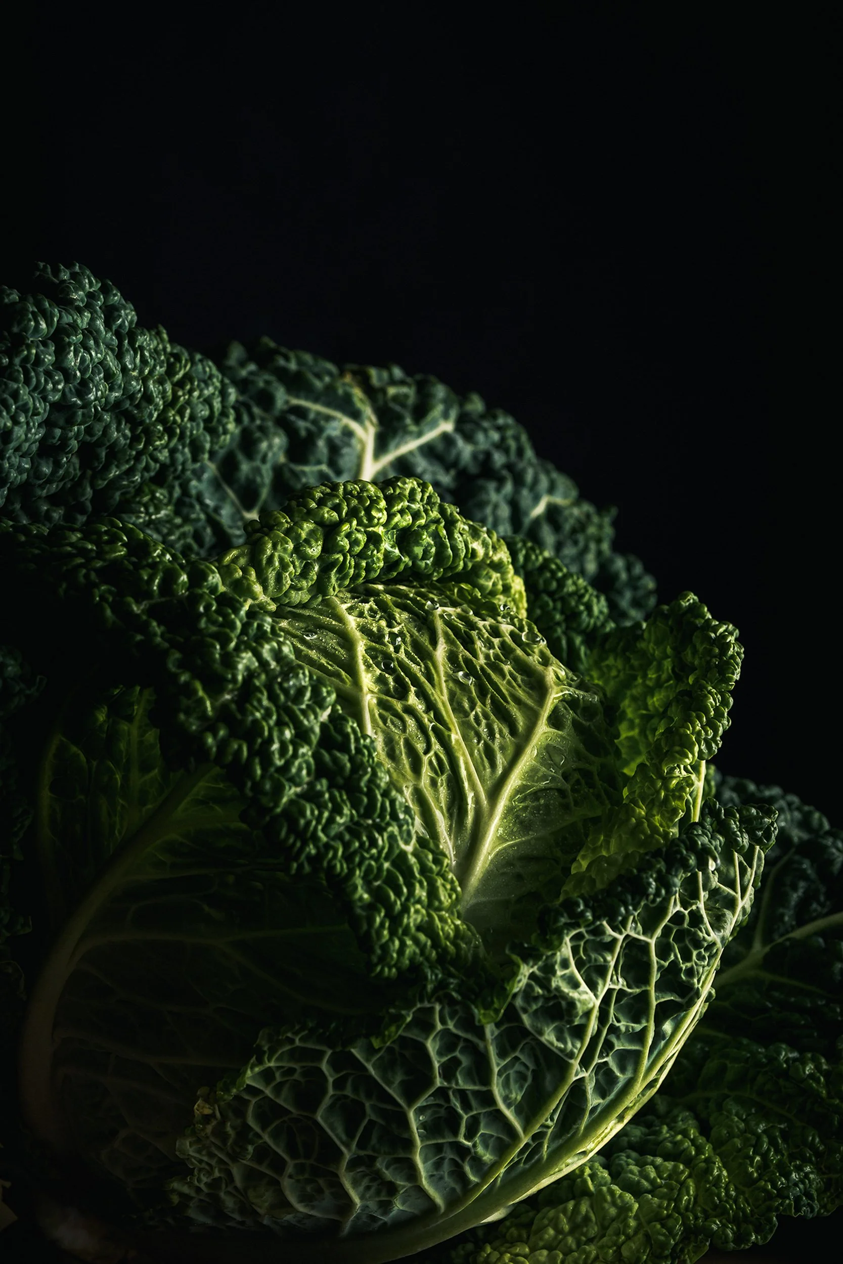 Commercial food and produce photography of fresh Savoy cabbage, styled with dramatic lighting for food brands, packaging and advertising campaigns
