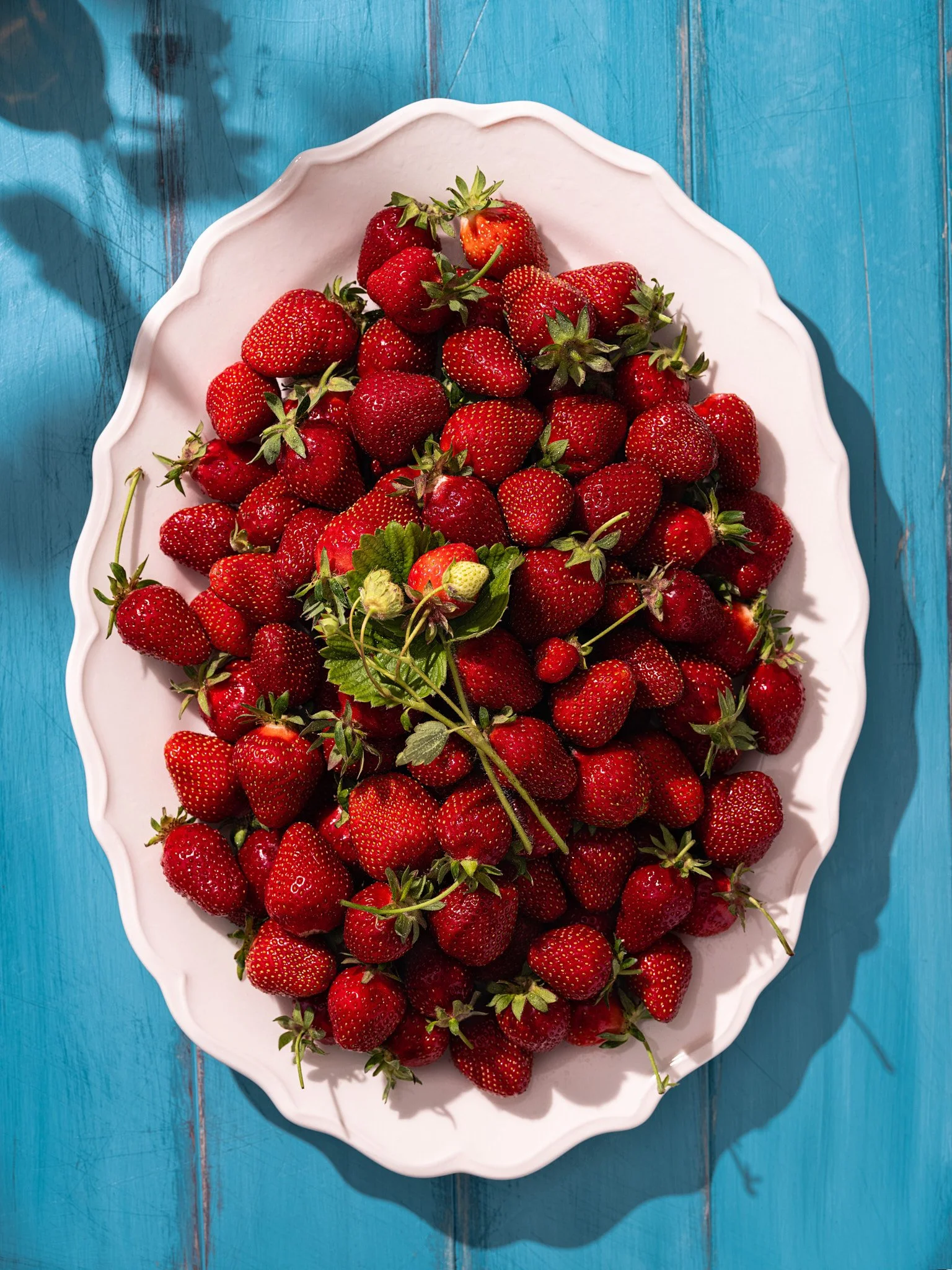 Professional food photography of fresh red strawberries arranged in a white bowl on a vibrant blue background, styled in natural sunlight for food brands, advertising and editorial content