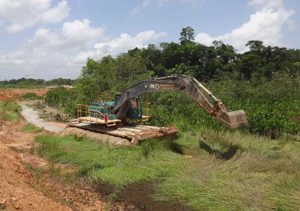 removal-vegetation.jfif