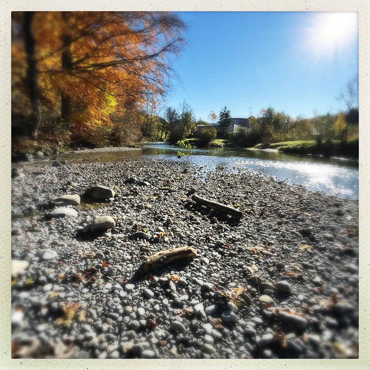 Bergsee mit herbstlichem Lärchenwald
