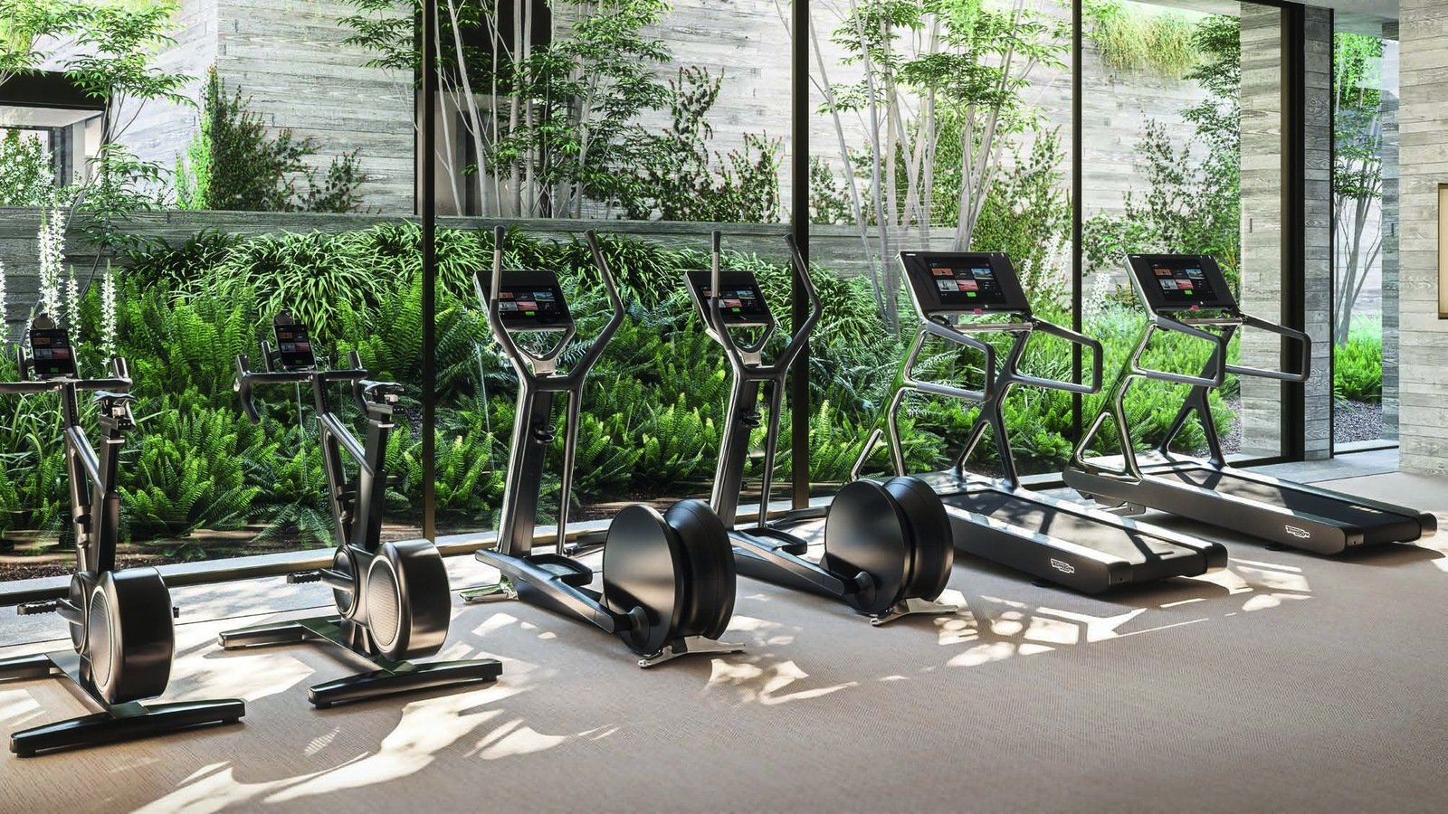 Piccolo House gym
