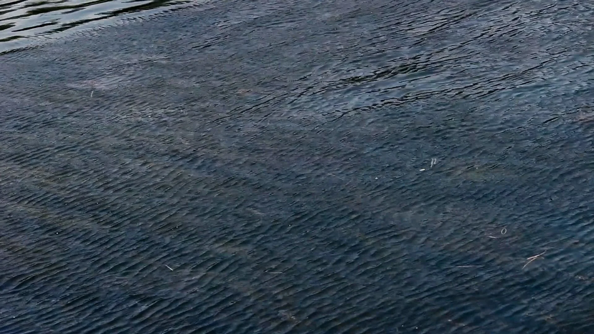 Clip05b.00_04_42_04.Still001.jpg