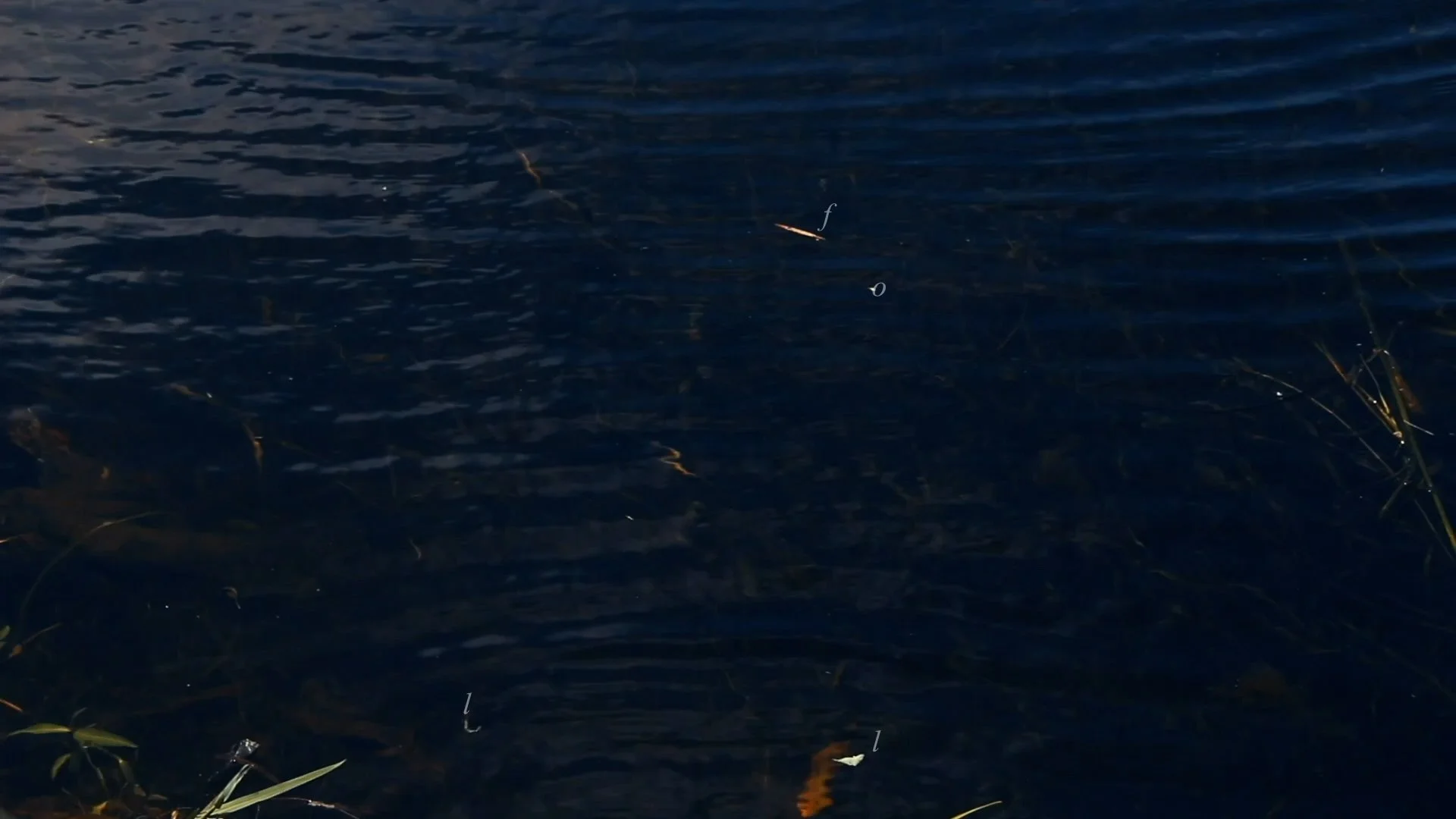 Clip05b.00_21_58_15.Still011.jpg