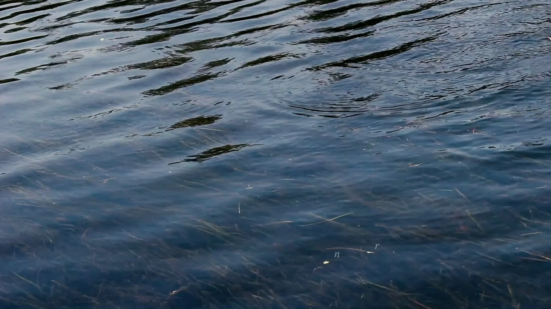 Clip05b.00_04_05_02.Still002.jpg