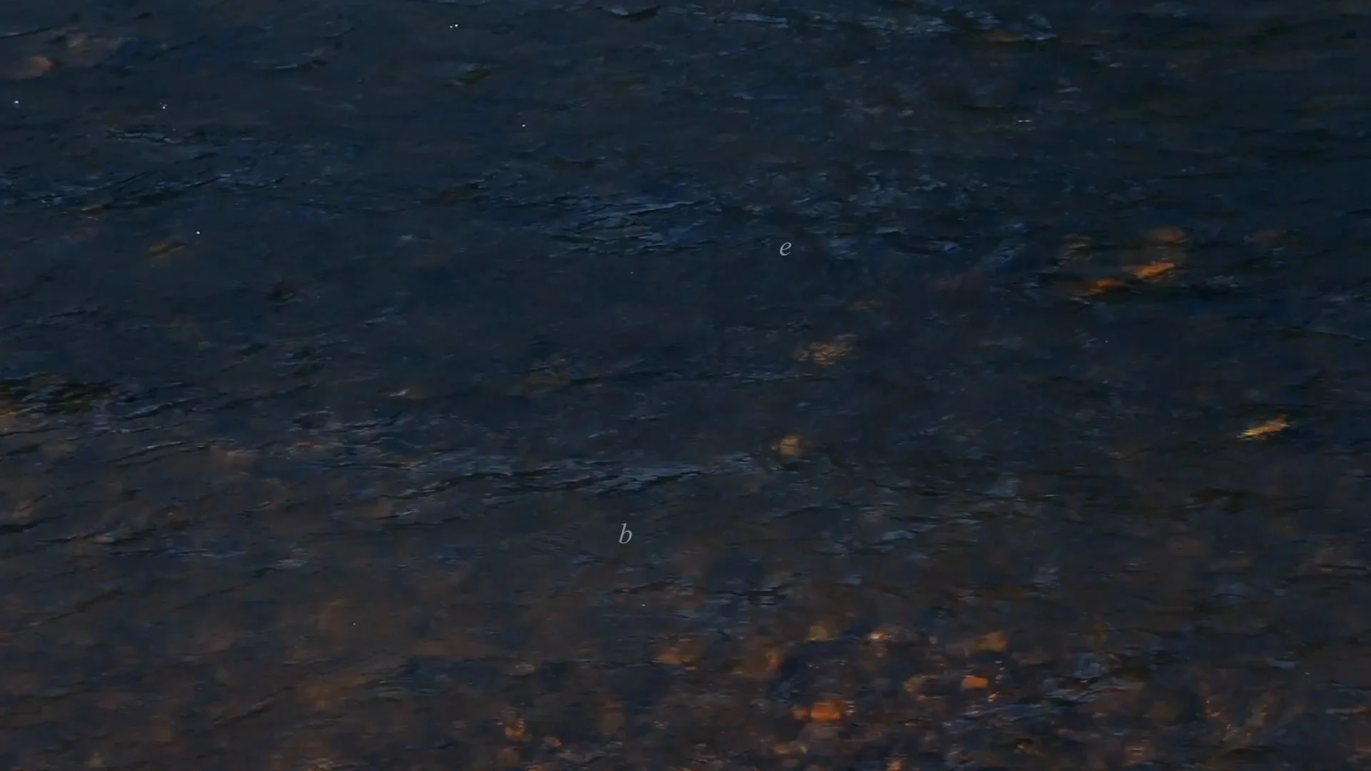 Clip05b.00_30_46_18.Still015.jpg