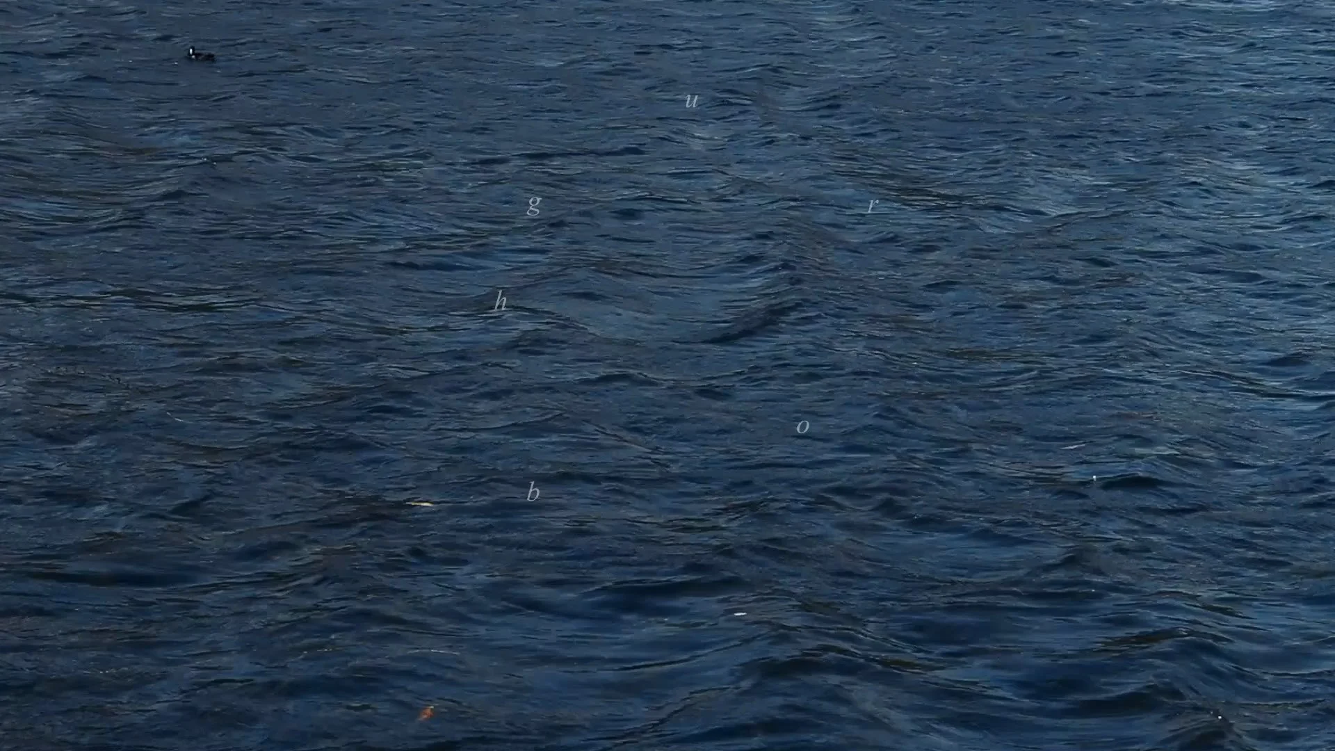 Clip05b.00_37_06_11.Still017.jpg