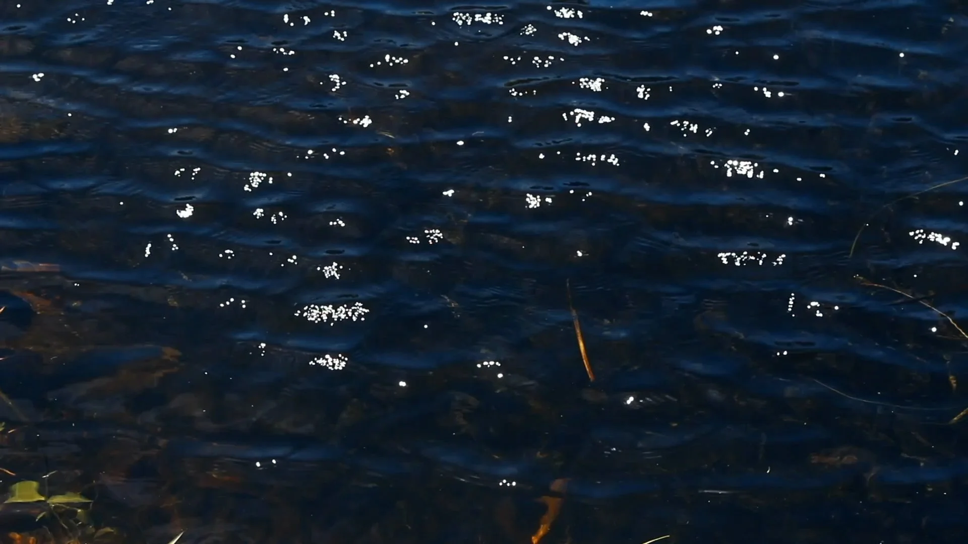 Clip05b.00_20_25_10.Still012.jpg