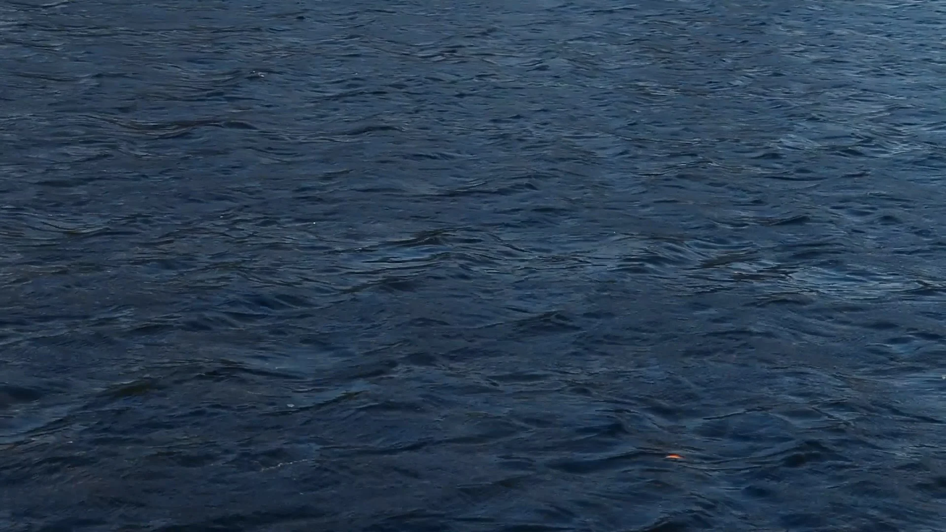 Clip05b.00_38_32_18.Still018.jpg