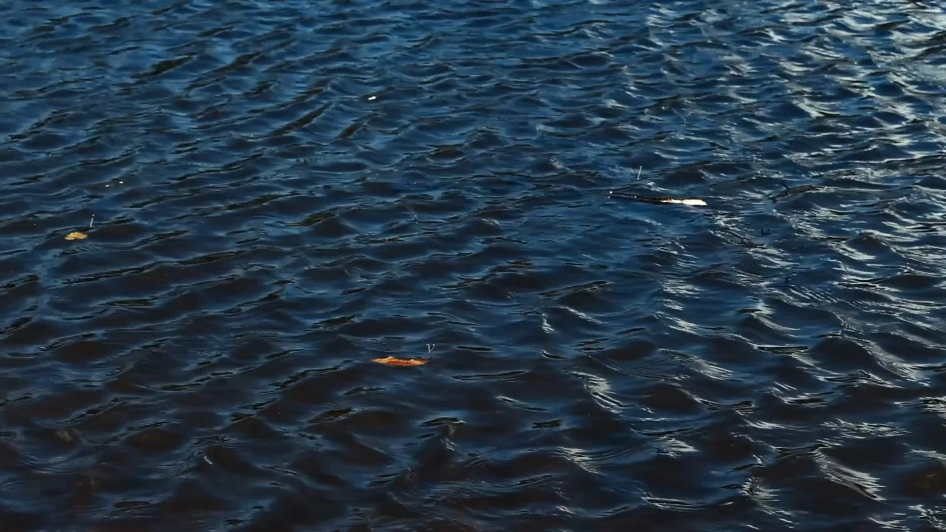 Clip05b.00_12_05_04.Still006.jpg