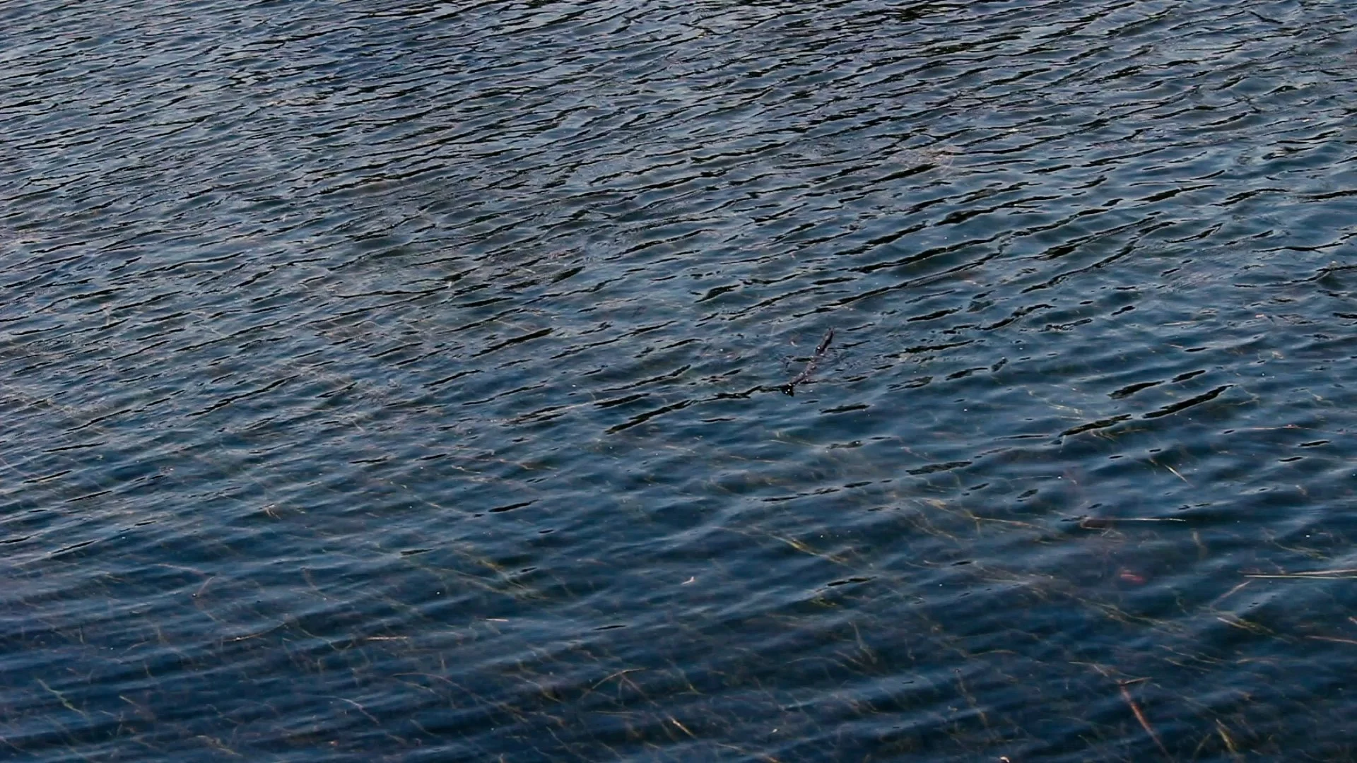 Clip05b.00_00_00_00.Still003.jpg