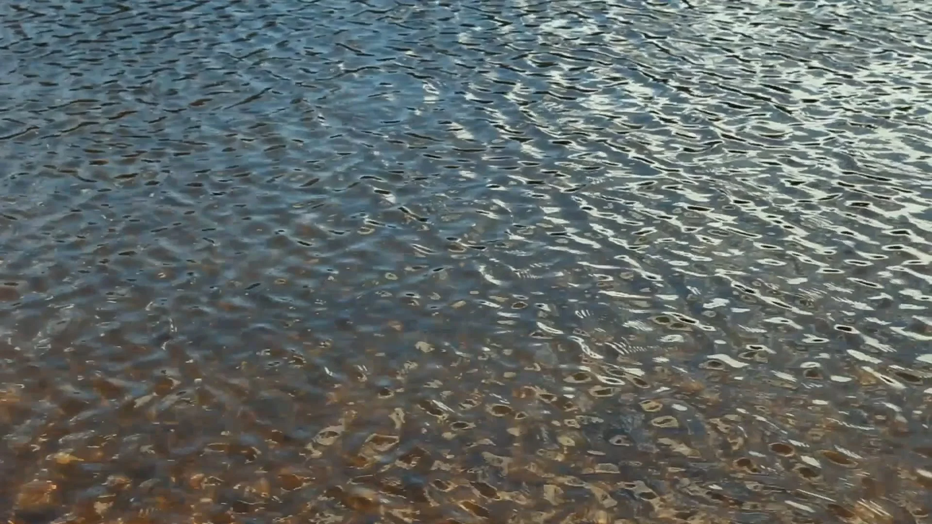 Clip05b.00_09_01_23.Still004.jpg